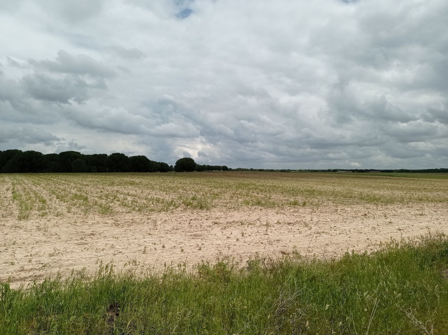 Fincas y solares-Venta-Matapozuelos-1743373-Foto-18