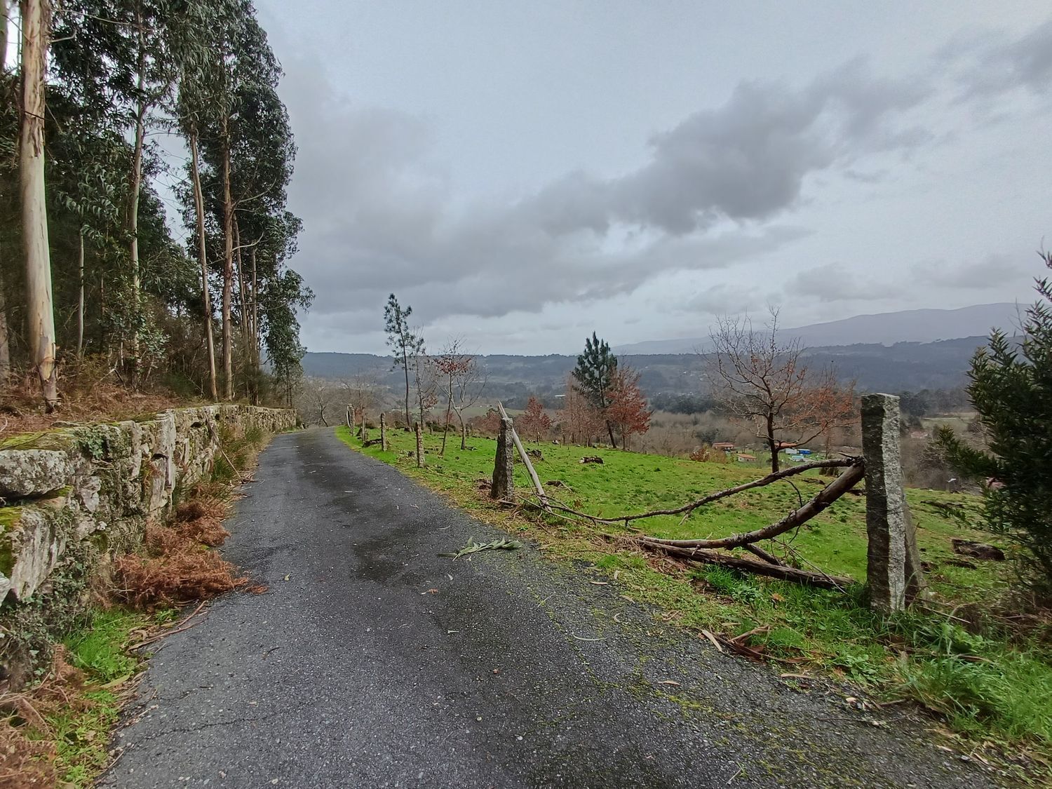 Propiedad en venta en Pontevedra, A Cañiza