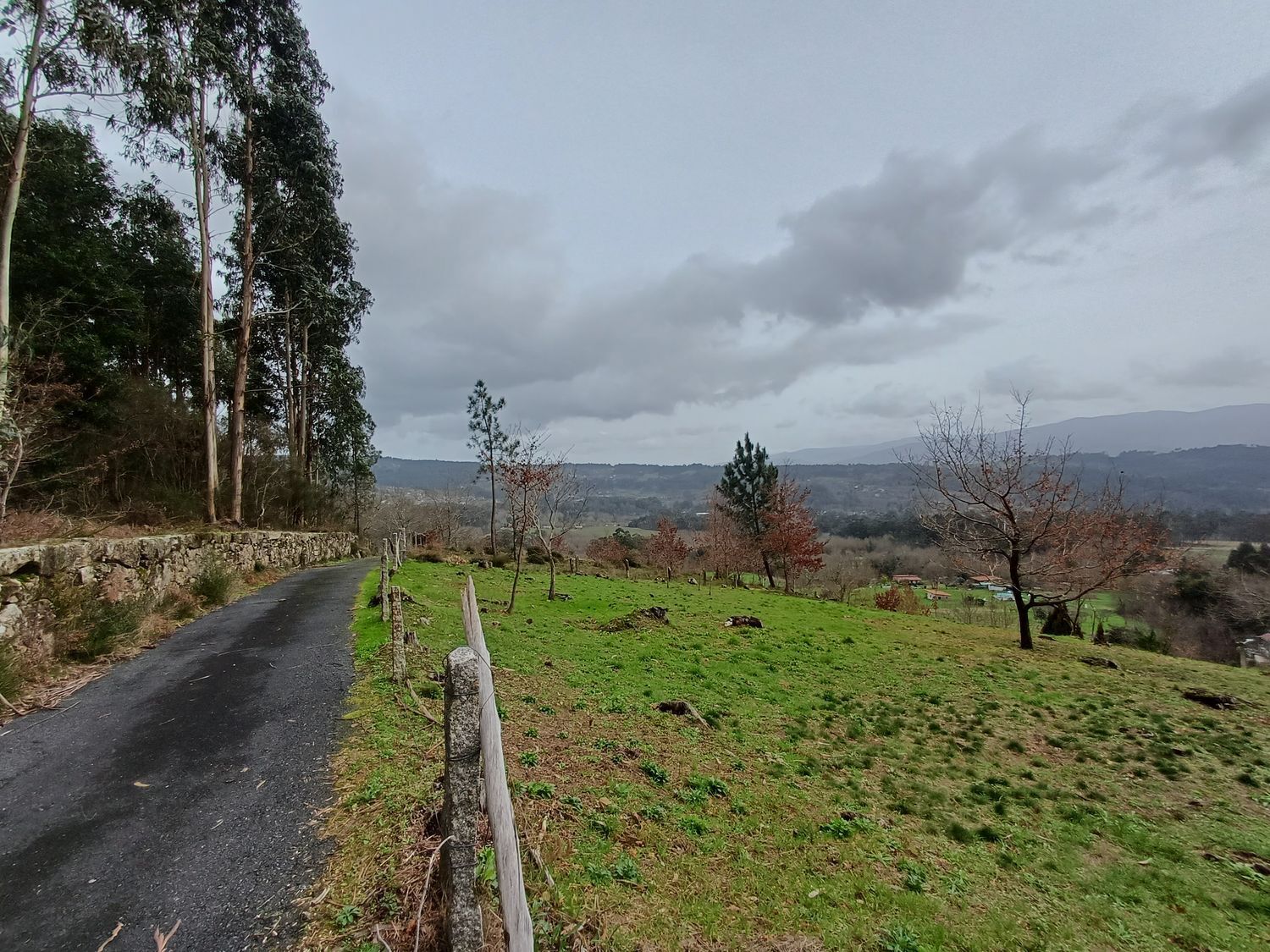 Propiedad en venta en Pontevedra, A Cañiza