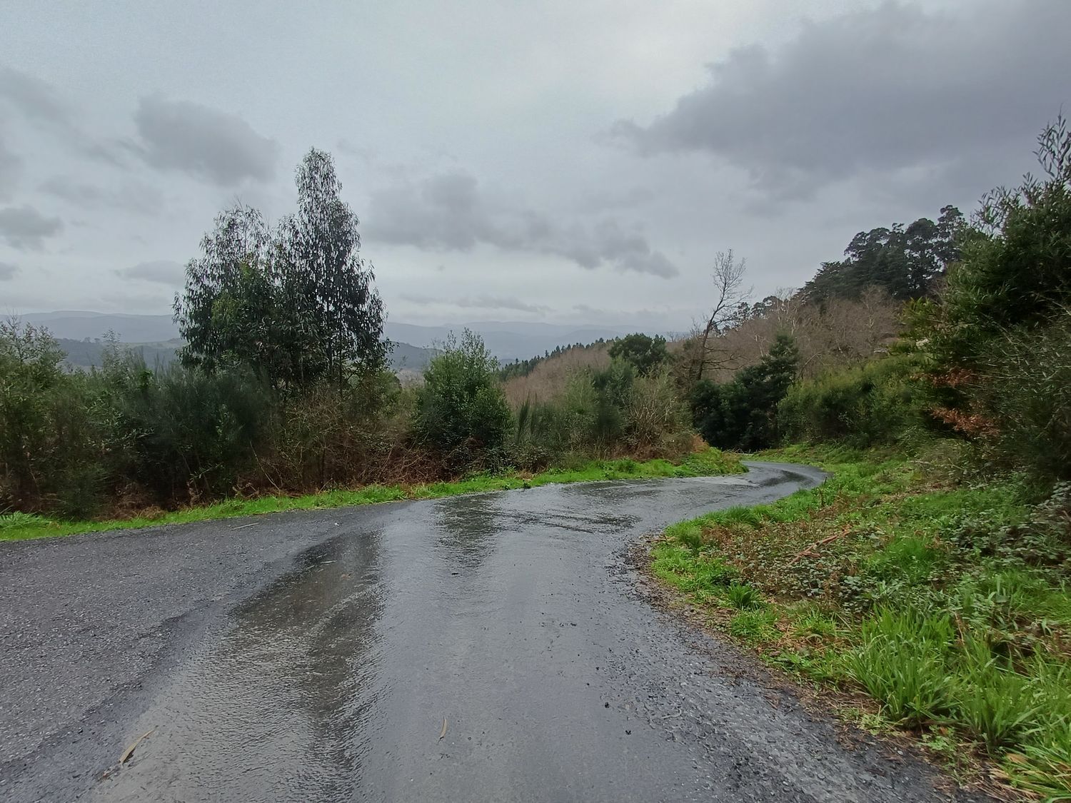 Propiedad en venta en Pontevedra, A Cañiza