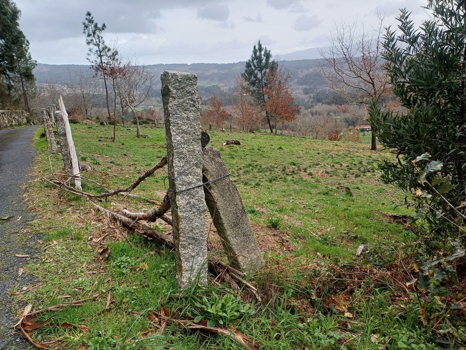 Propiedad en venta en Pontevedra, A Cañiza