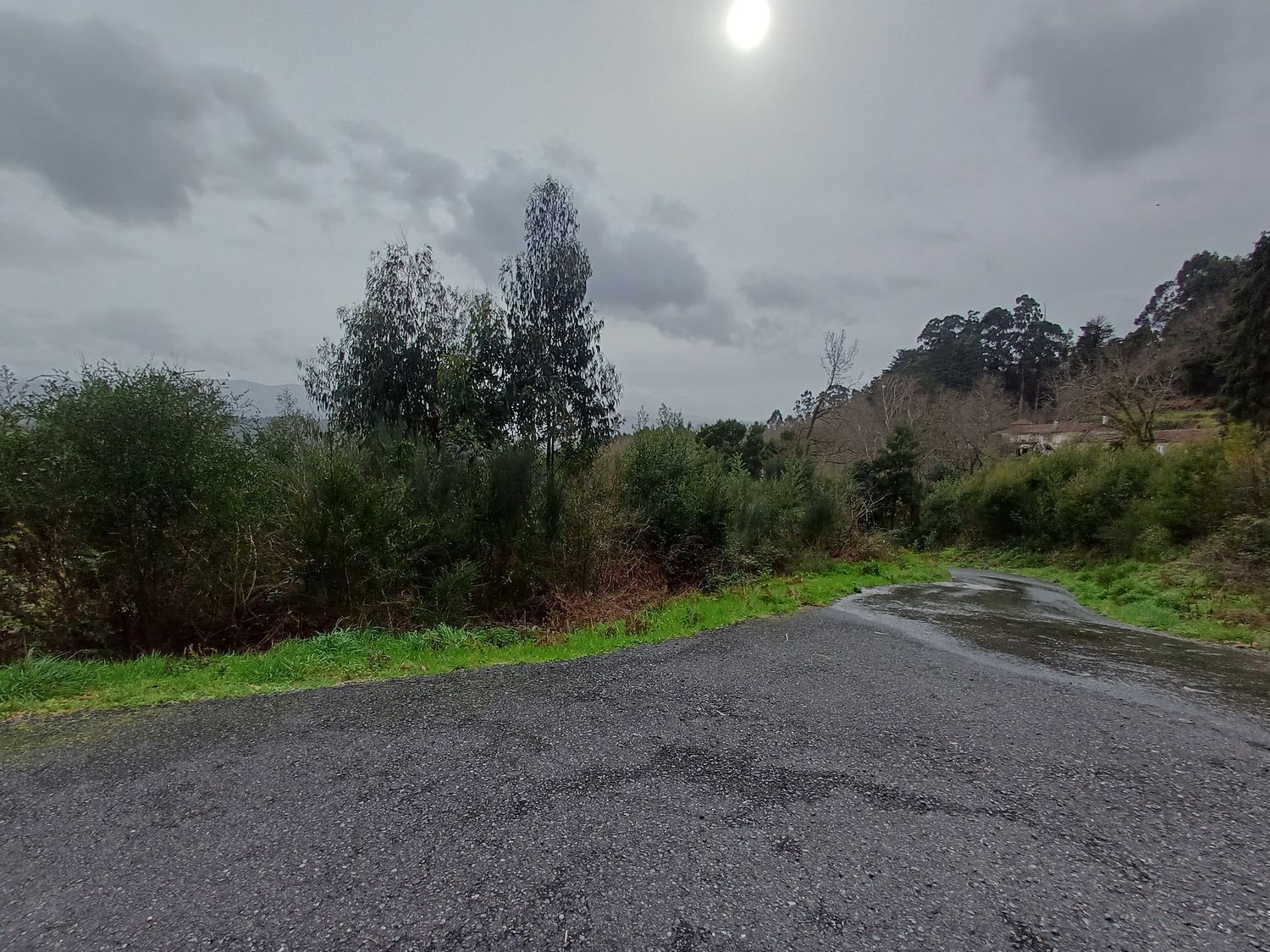 Propiedad en venta en Pontevedra, A Cañiza