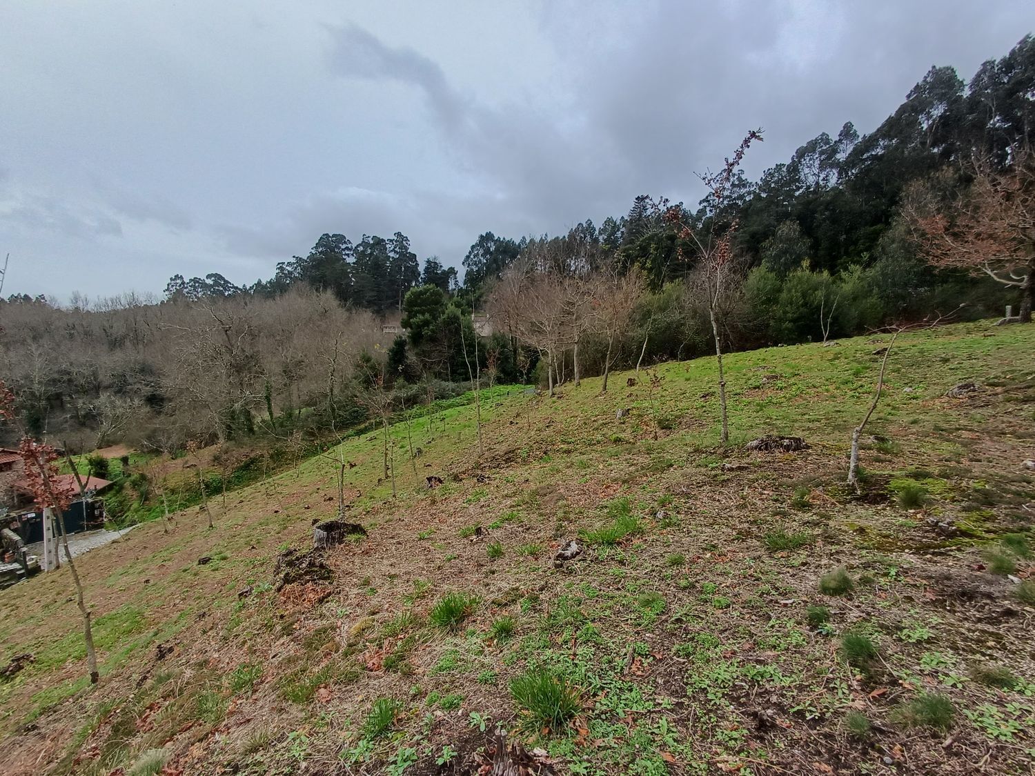 Propiedad en venta en Pontevedra, A Cañiza