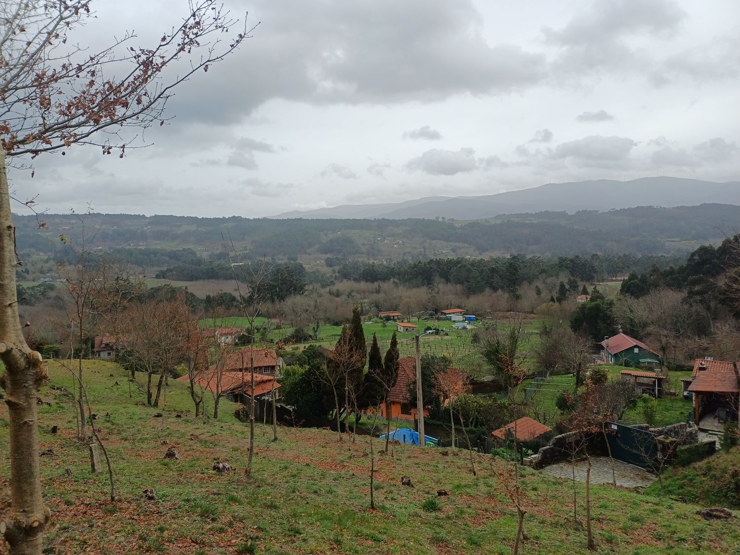 Propiedad en venta en Pontevedra, A Cañiza