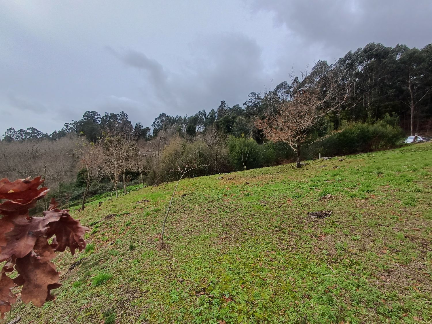 Propiedad en venta en Pontevedra, A Cañiza