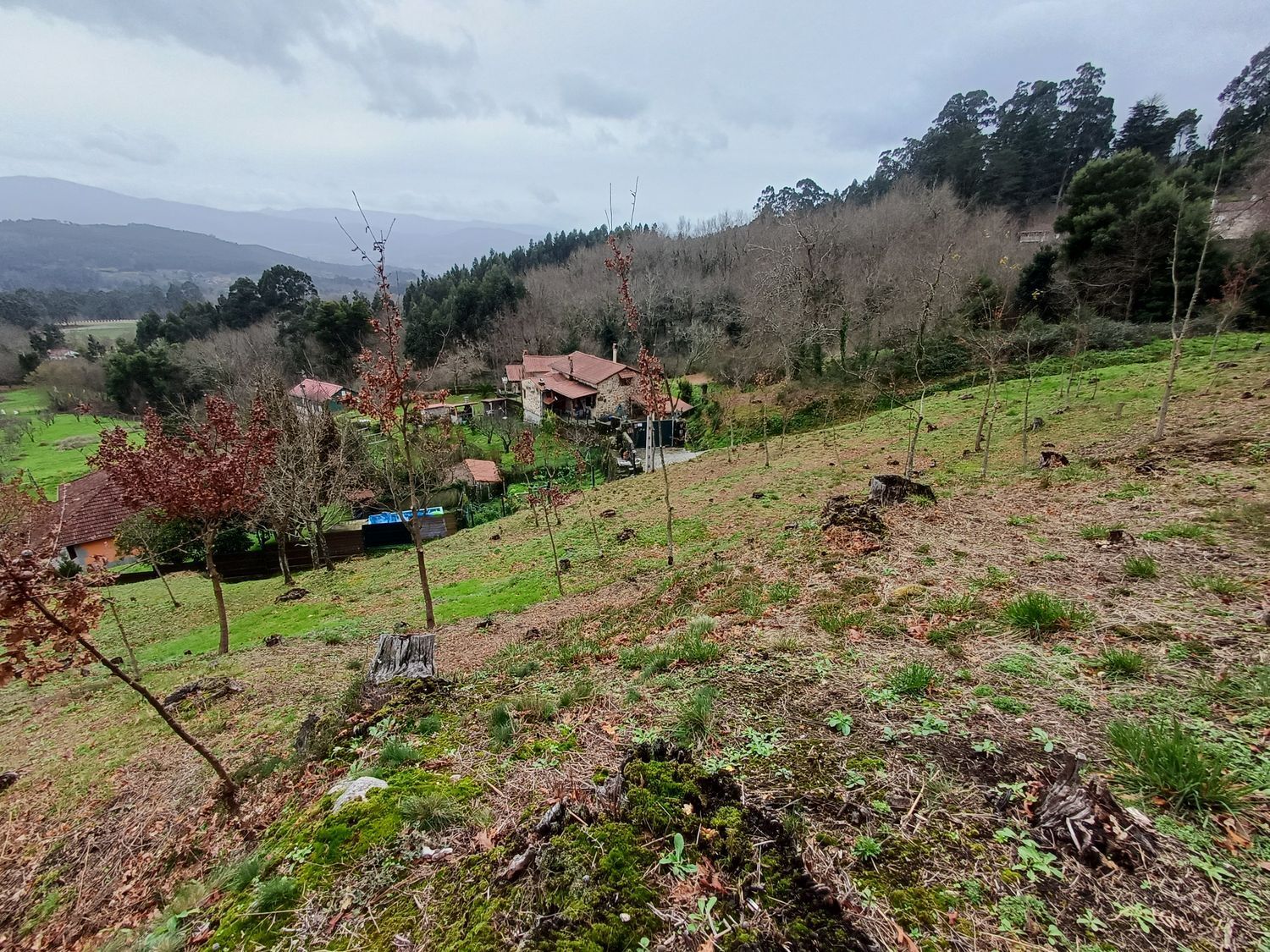 Propiedad en venta en Pontevedra, A Cañiza