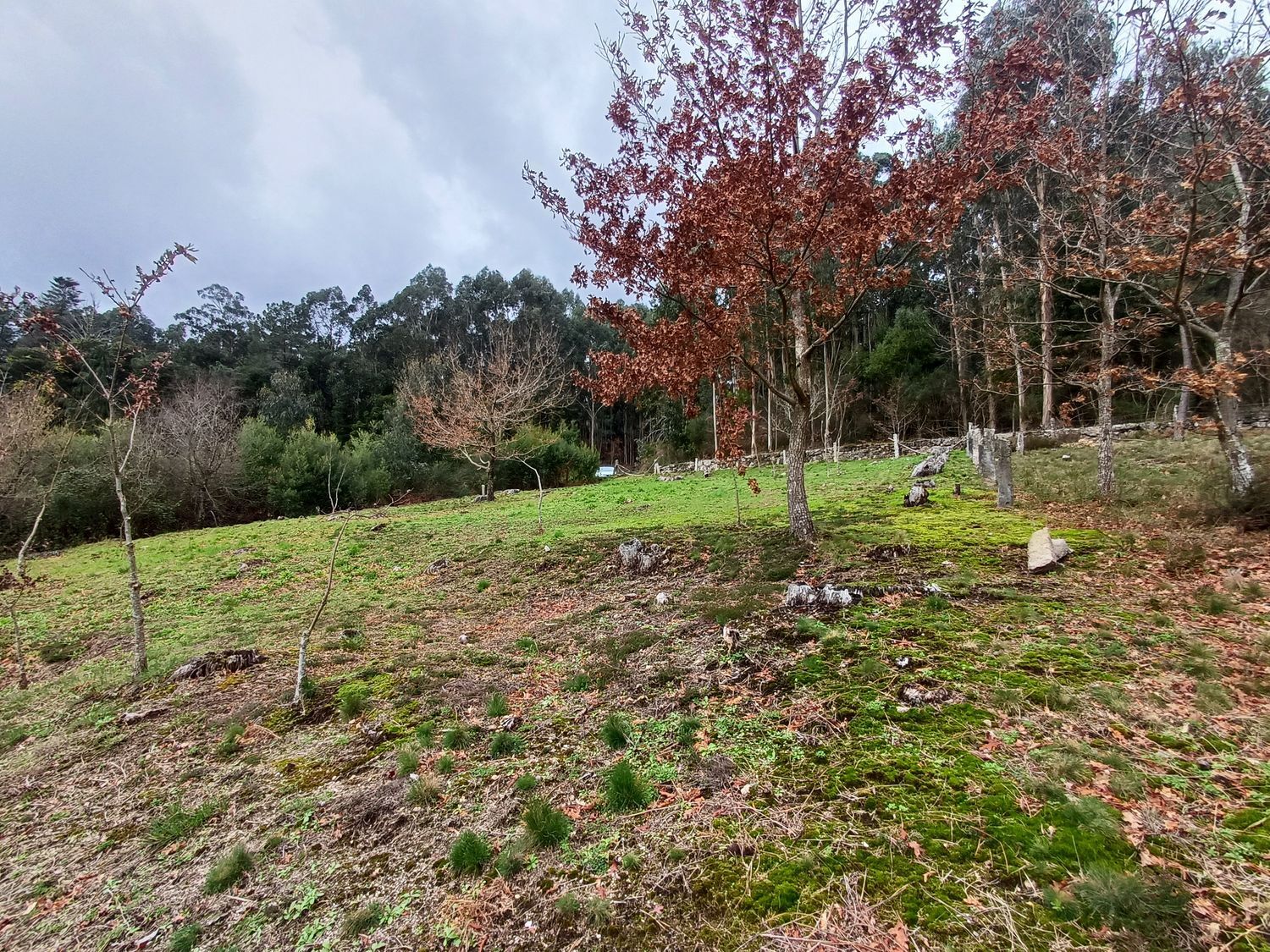 Propiedad en venta en Pontevedra, A Cañiza