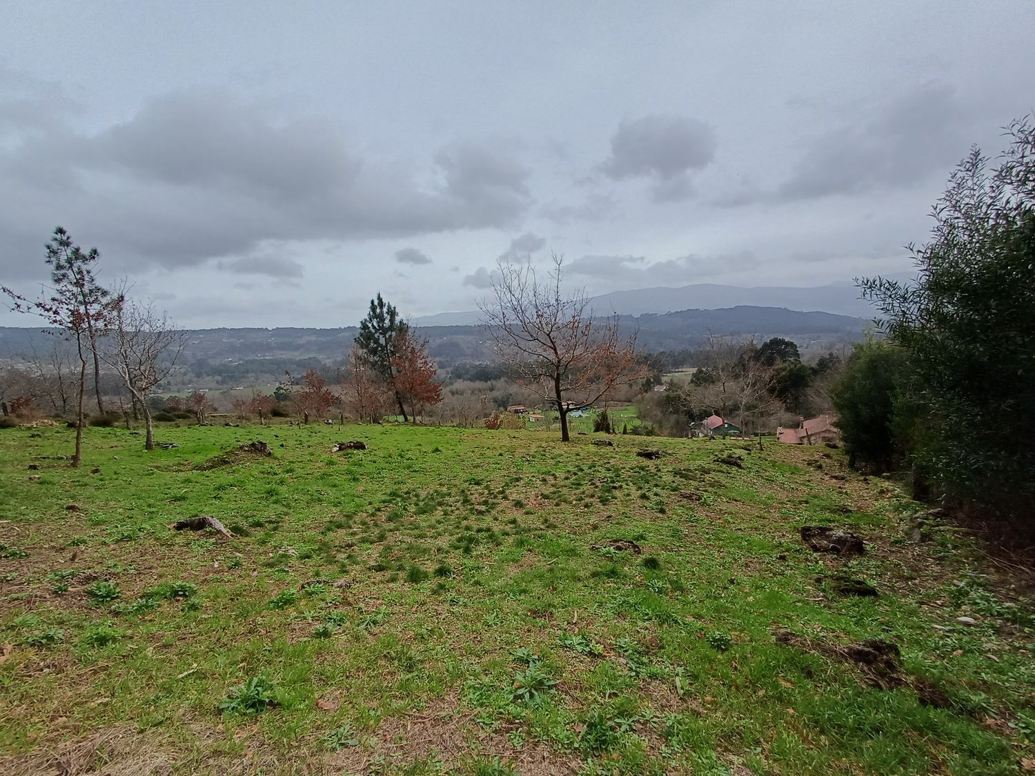 Propiedad en venta en Pontevedra, A Cañiza