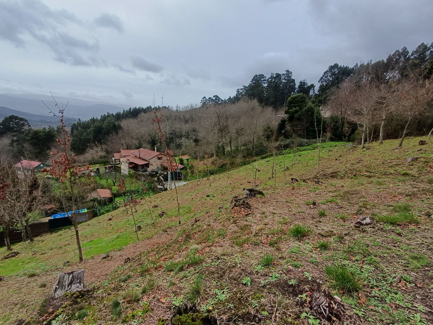 Propiedad en venta en Pontevedra, A Cañiza