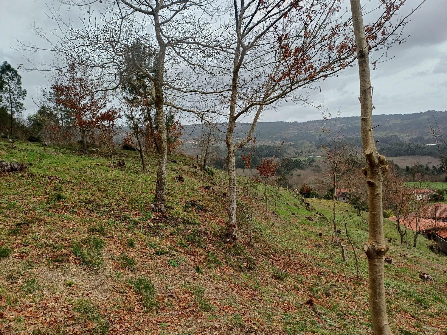 Propiedad en venta en Pontevedra, A Cañiza