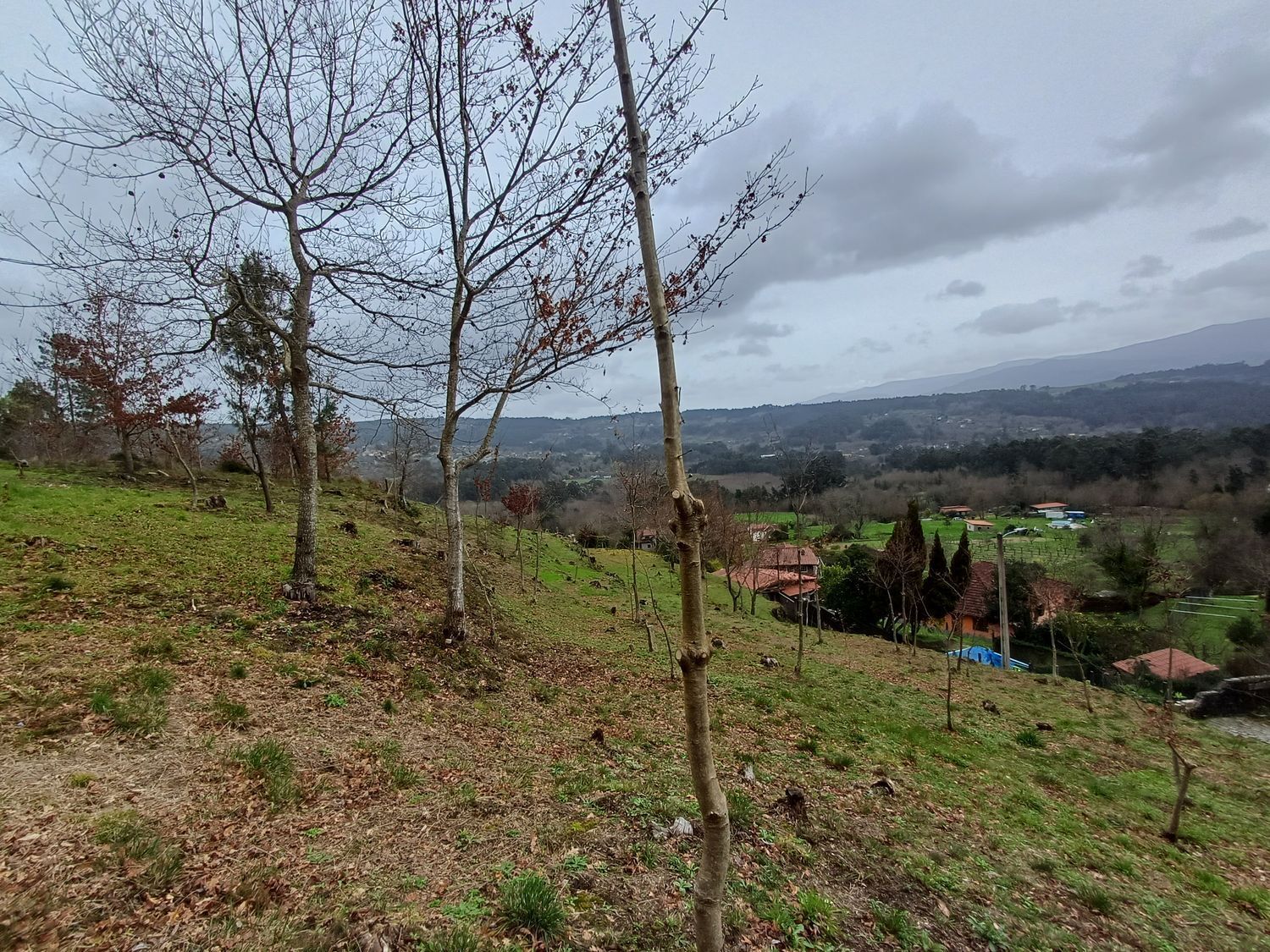 Propiedad en venta en Pontevedra, A Cañiza