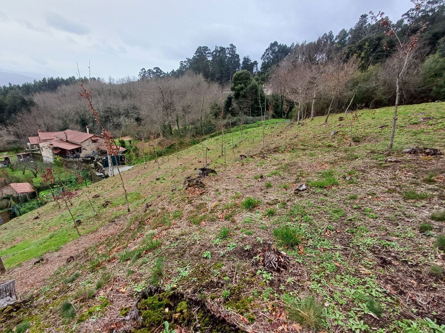 Propiedad en venta en Pontevedra, A Cañiza