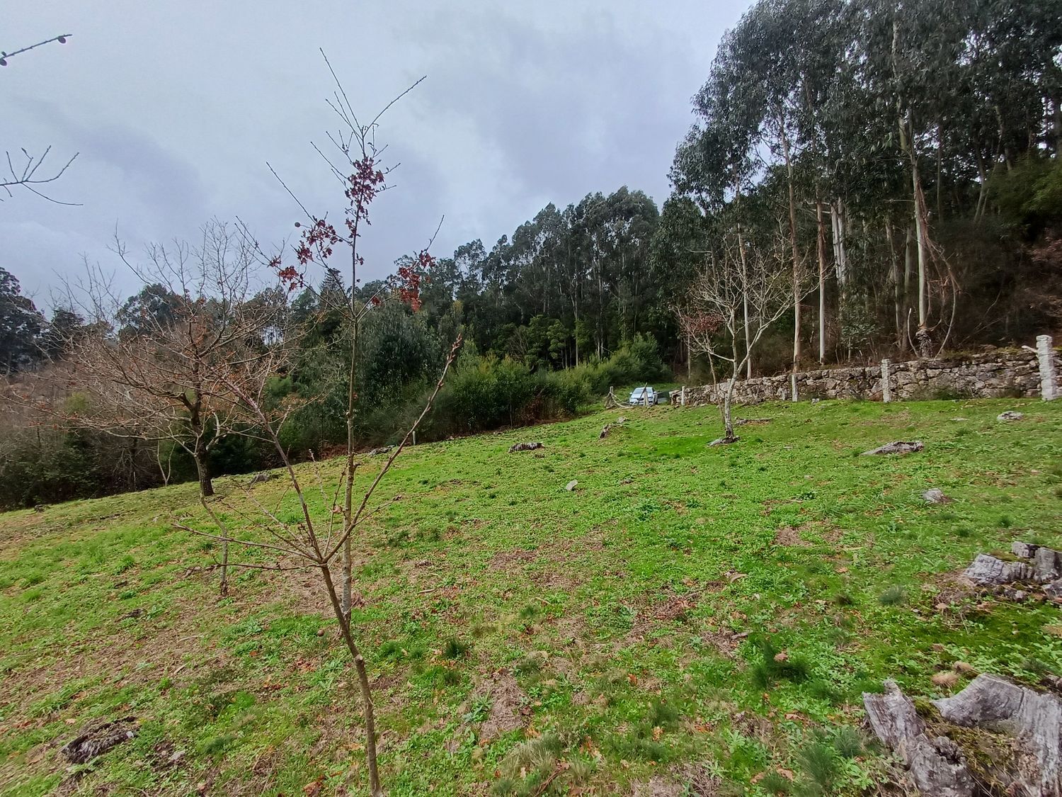 Propiedad en venta en Pontevedra, A Cañiza