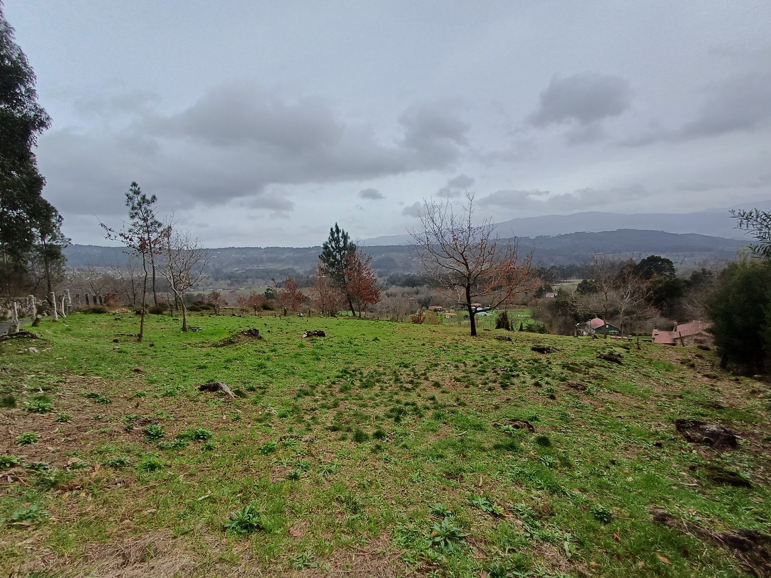 Propiedad en venta en Pontevedra, A Cañiza