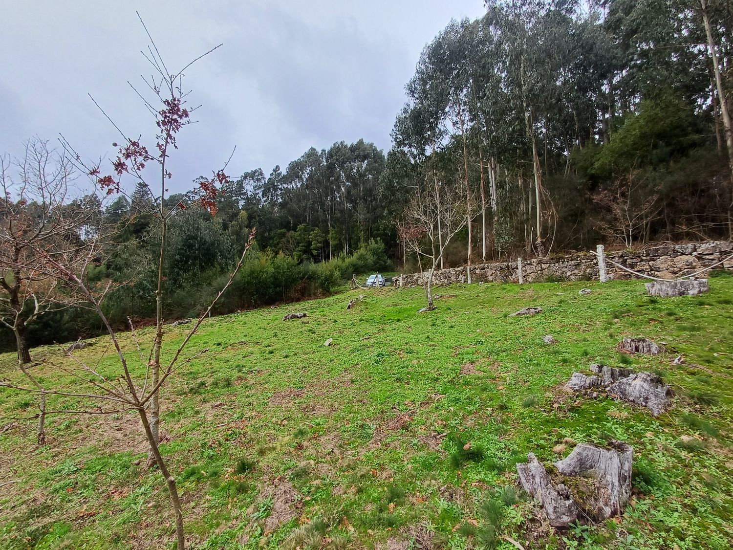 Propiedad en venta en Pontevedra, A Cañiza