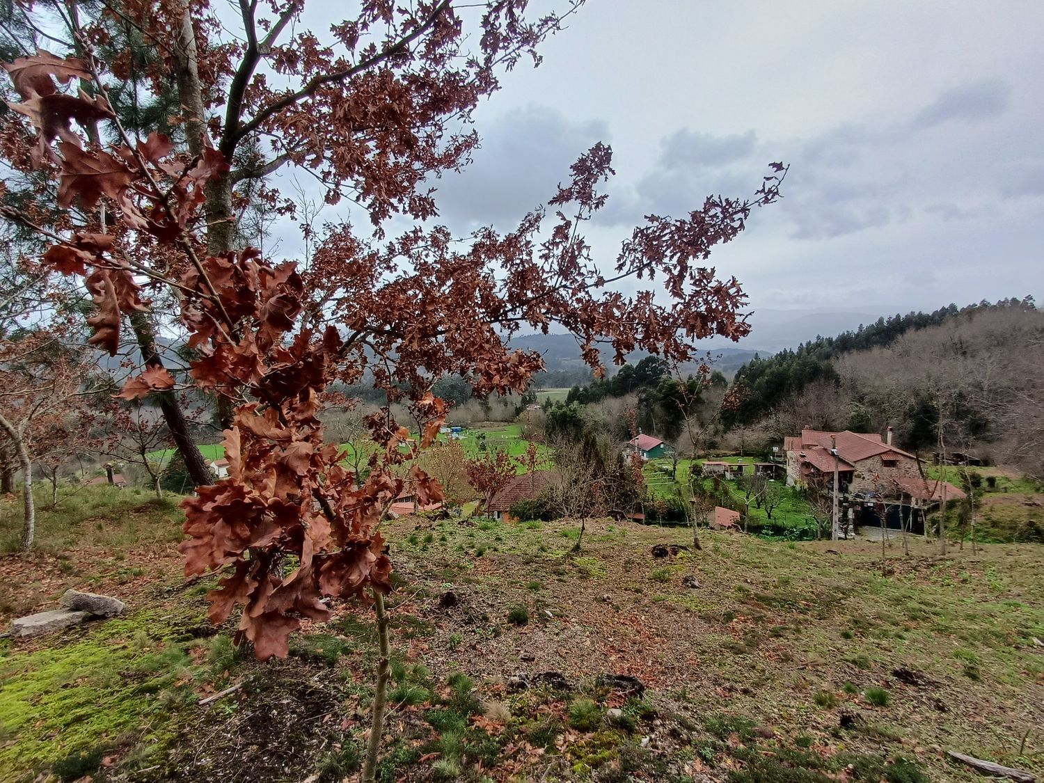 Propiedad en venta en Pontevedra, A Cañiza