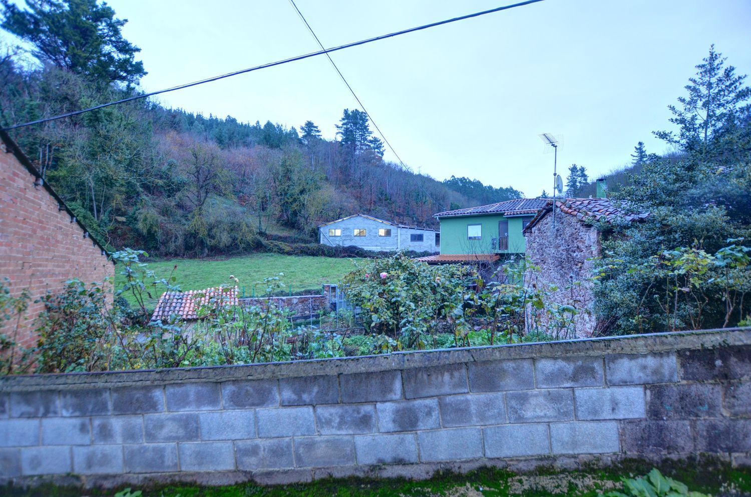Propiedad en venta en Asturias, Tineo