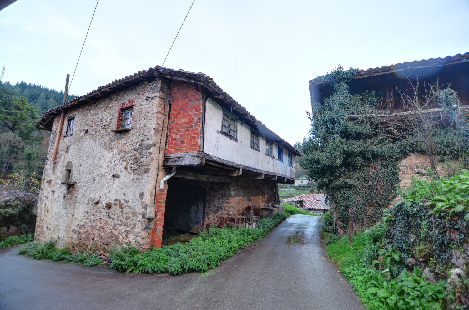 Propiedad en venta en Asturias, Tineo