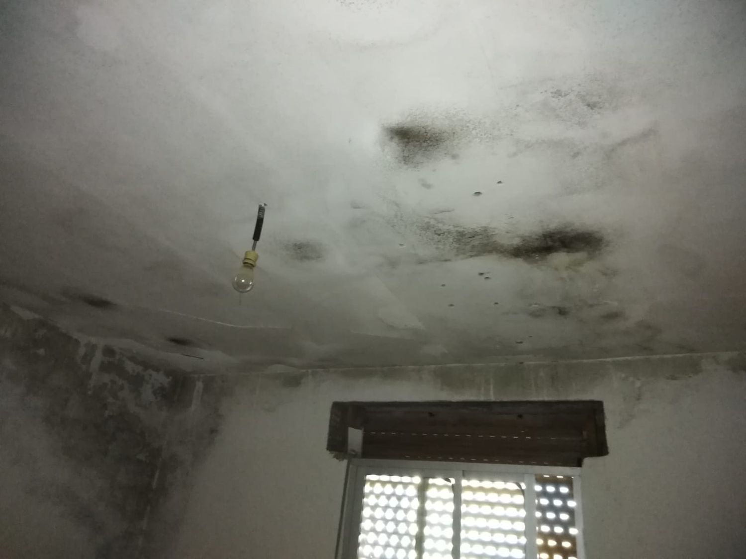 Propiedad en venta en Jaén, Higuera de Arjona