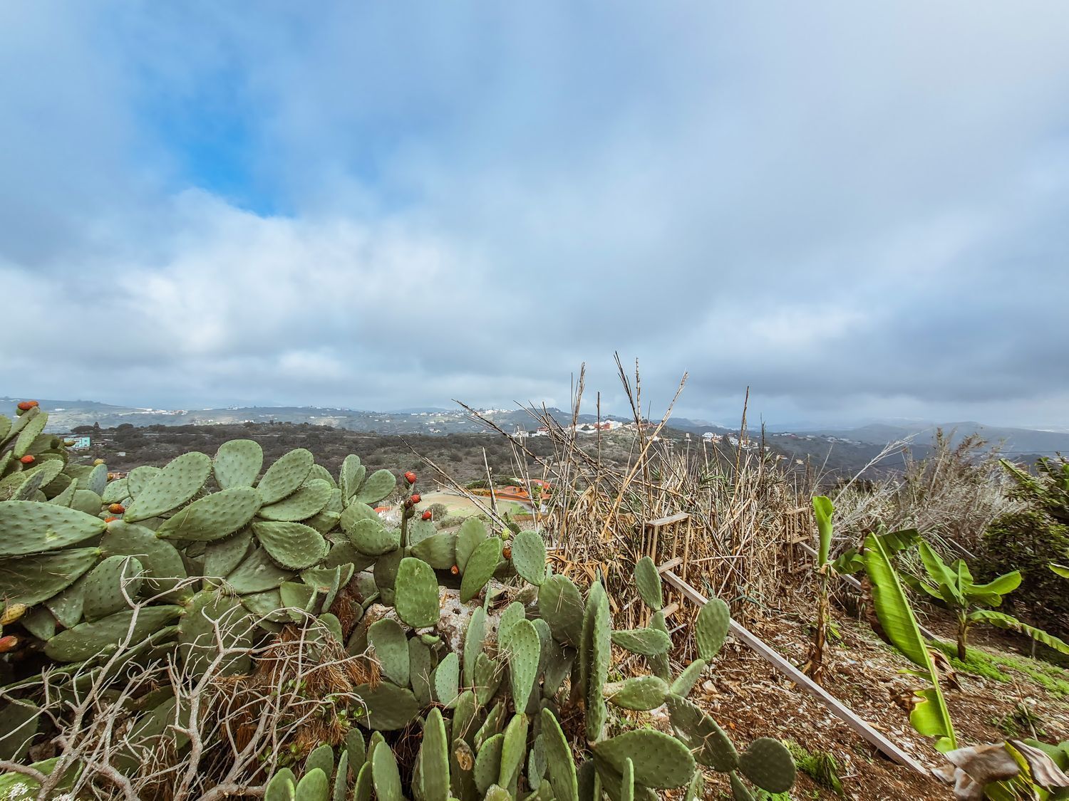 Propiedad en venta en Las Palmas, Las Palmas de Gran Canaria