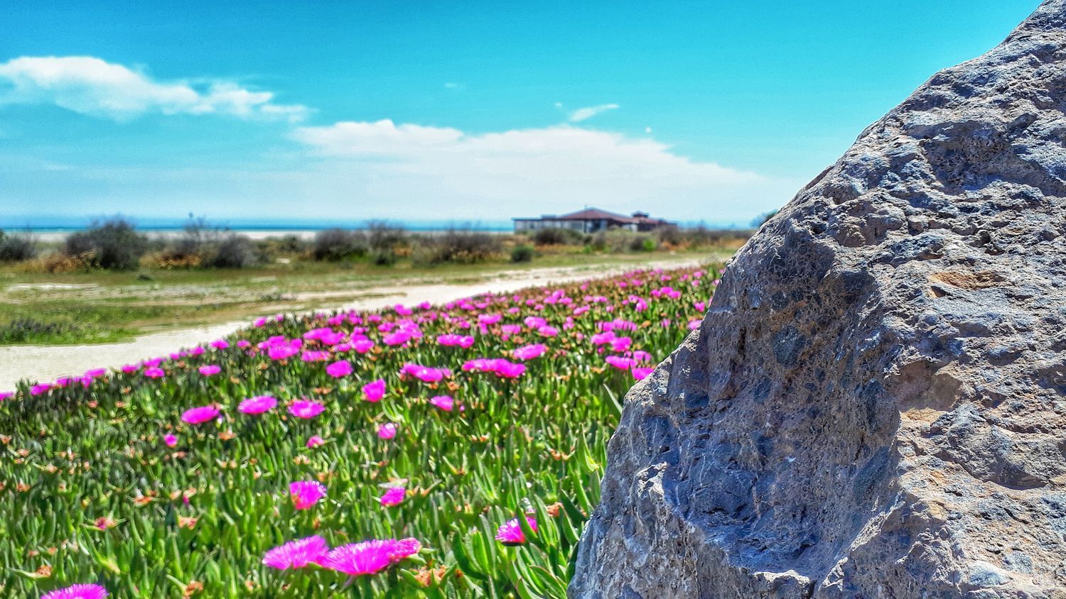 Propiedad en venta en Almería, Vera