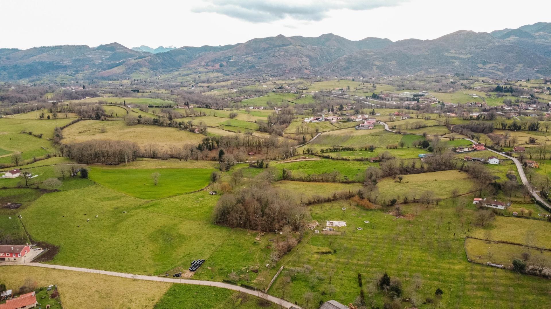 Auténtica Casa Asturiana con parcela  en Nava