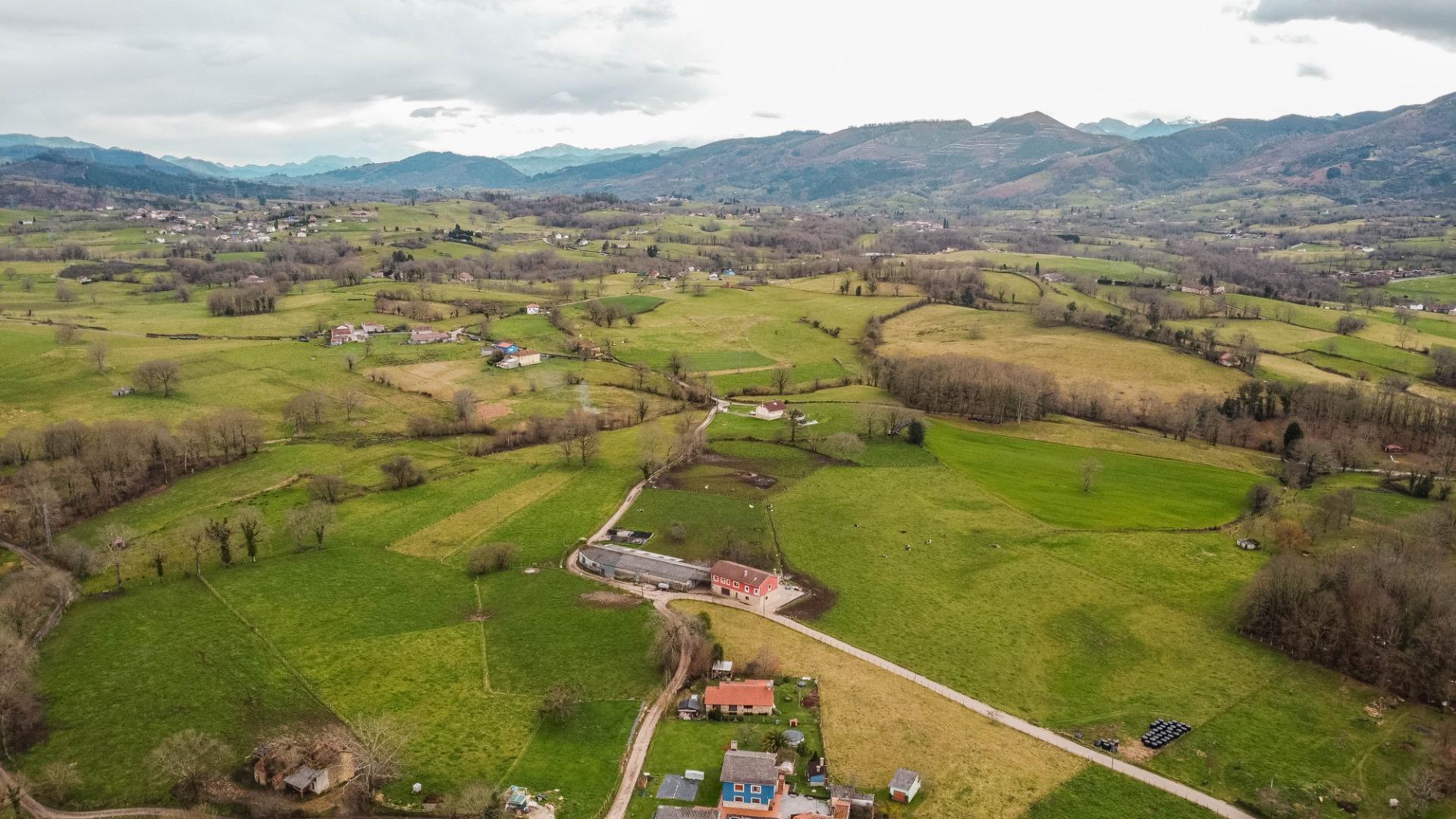Auténtica Casa Asturiana con parcela  en Nava