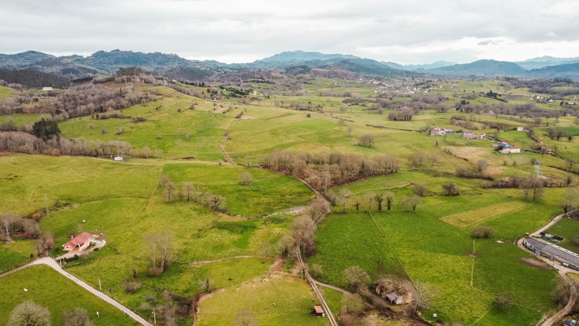 Auténtica Casa Asturiana con parcela  en Nava
