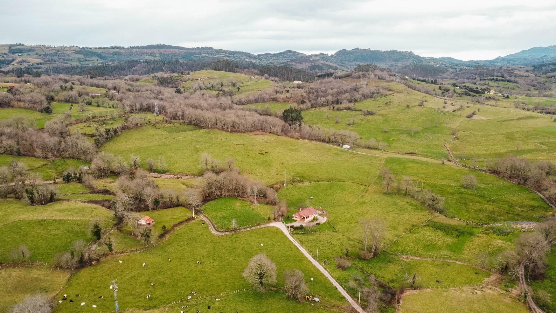 Auténtica Casa Asturiana con parcela  en Nava