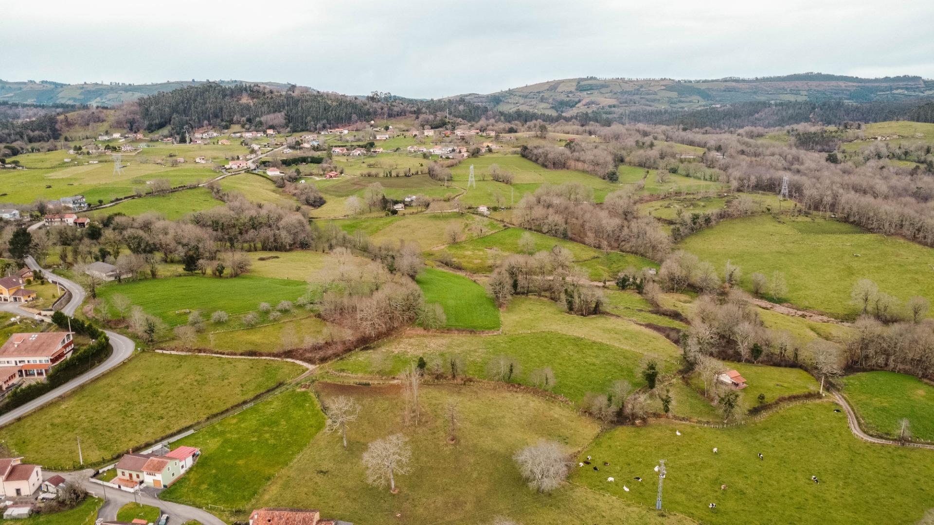 Auténtica Casa Asturiana con parcela  en Nava