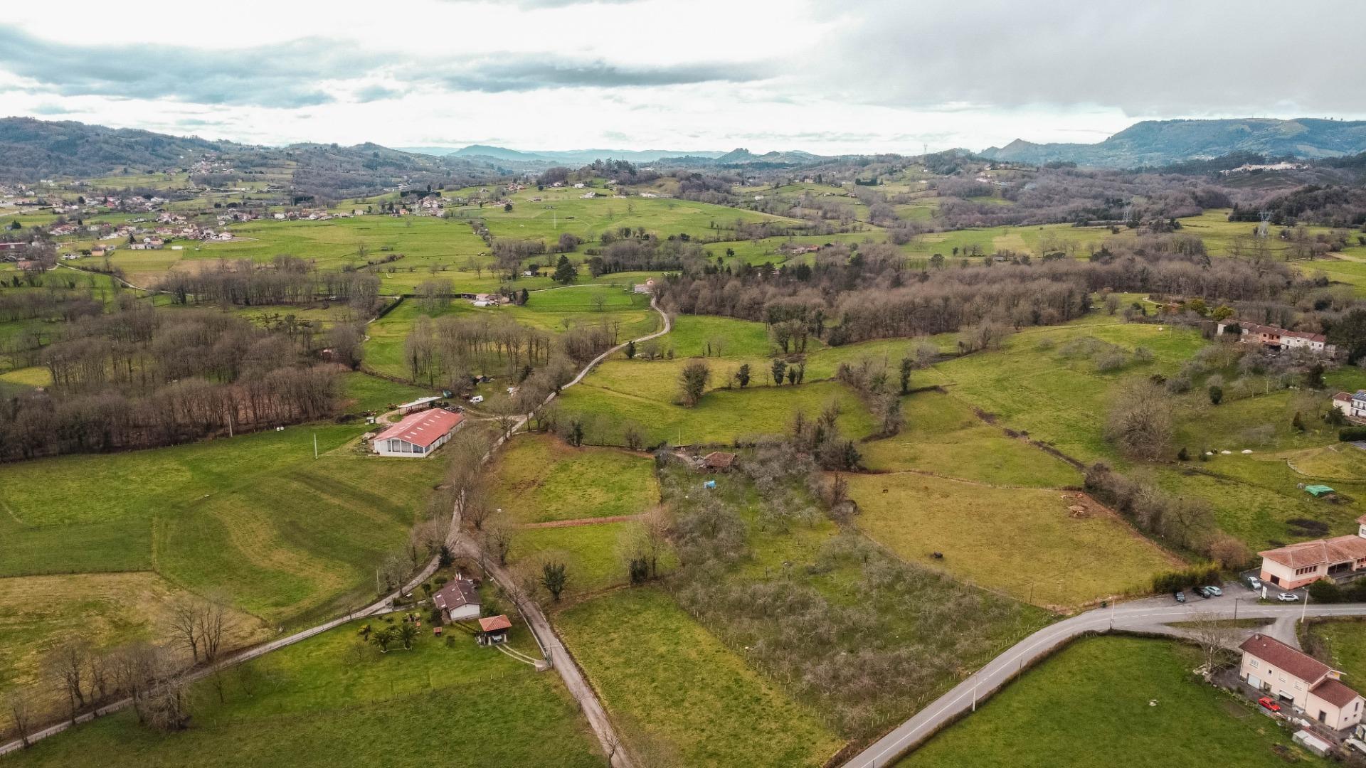 Auténtica Casa Asturiana con parcela  en Nava