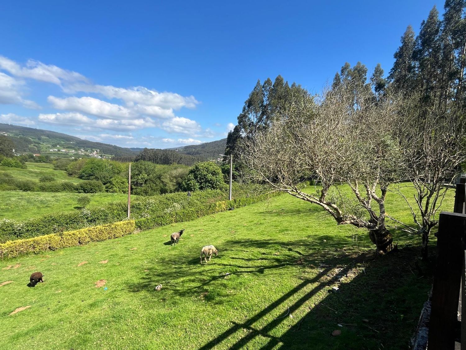 Propiedad en venta en A Coruña, Cedeira