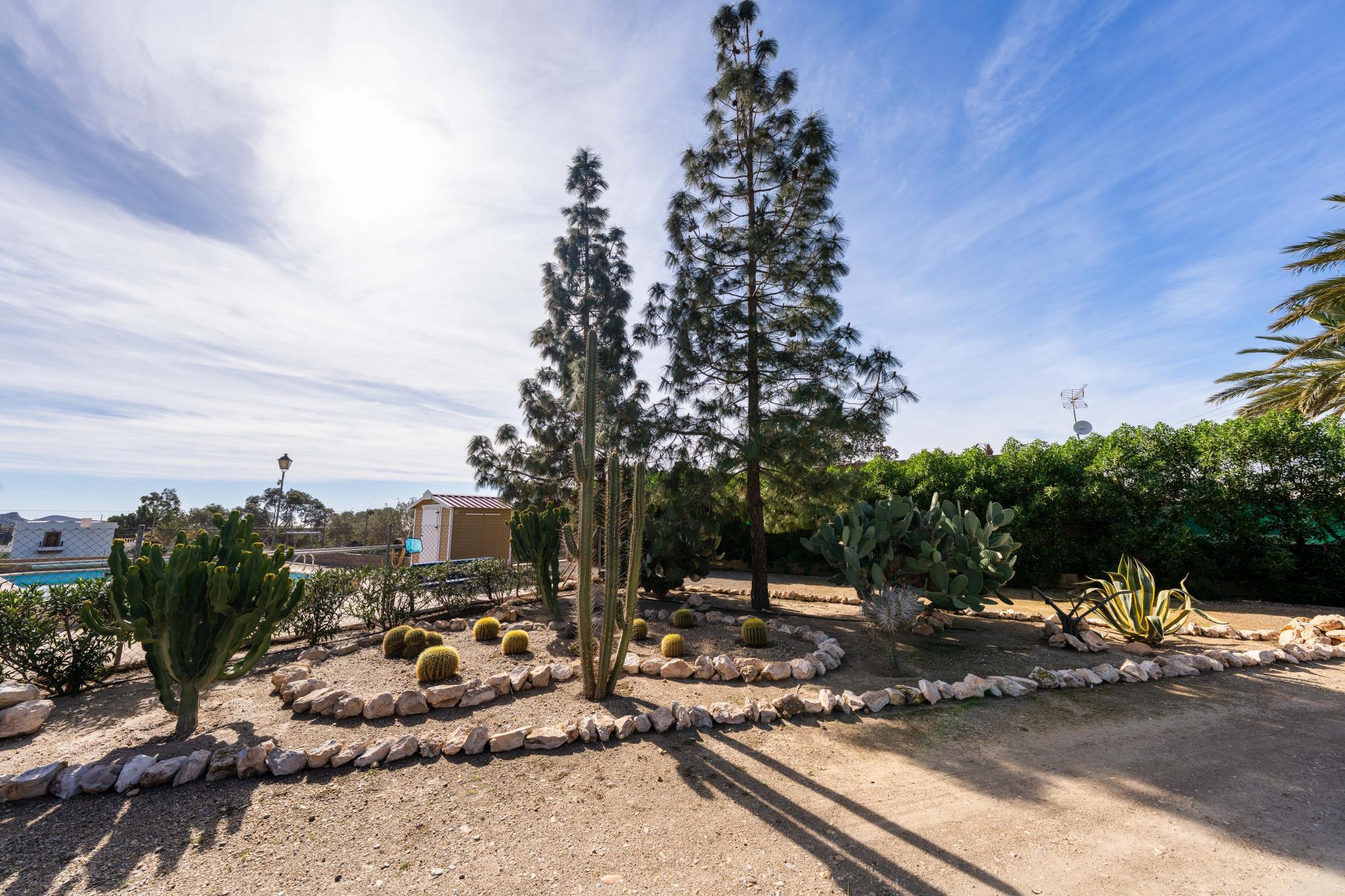 Pisos-Venta-AlmerÃ­a-2110045-Foto-4