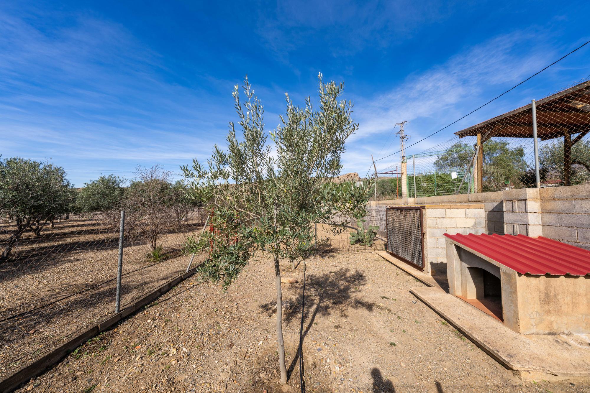 Pisos-Venta-AlmerÃ­a-2110045-Foto-45