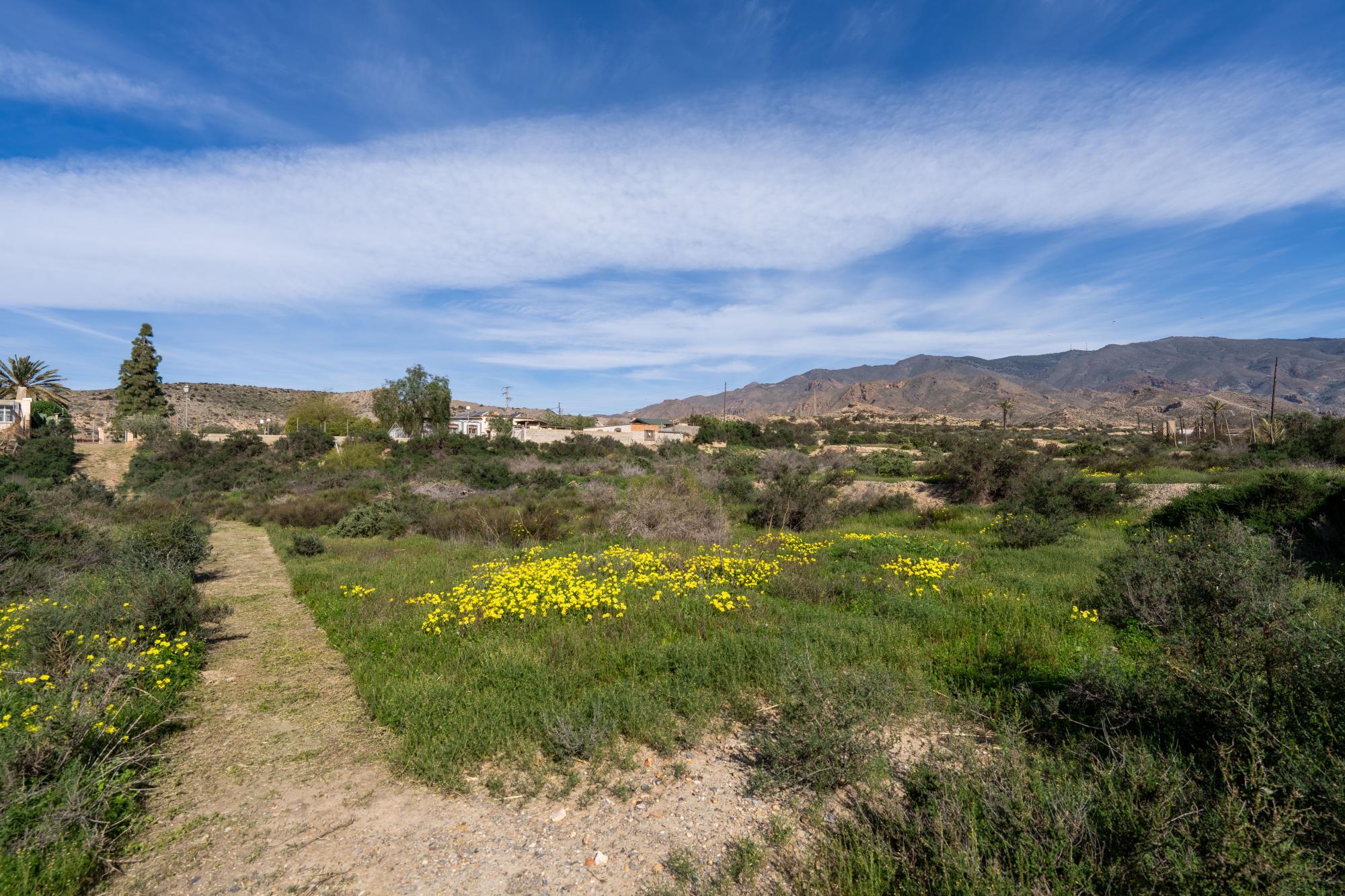 Pisos-Venta-AlmerÃ­a-2110045-Foto-66