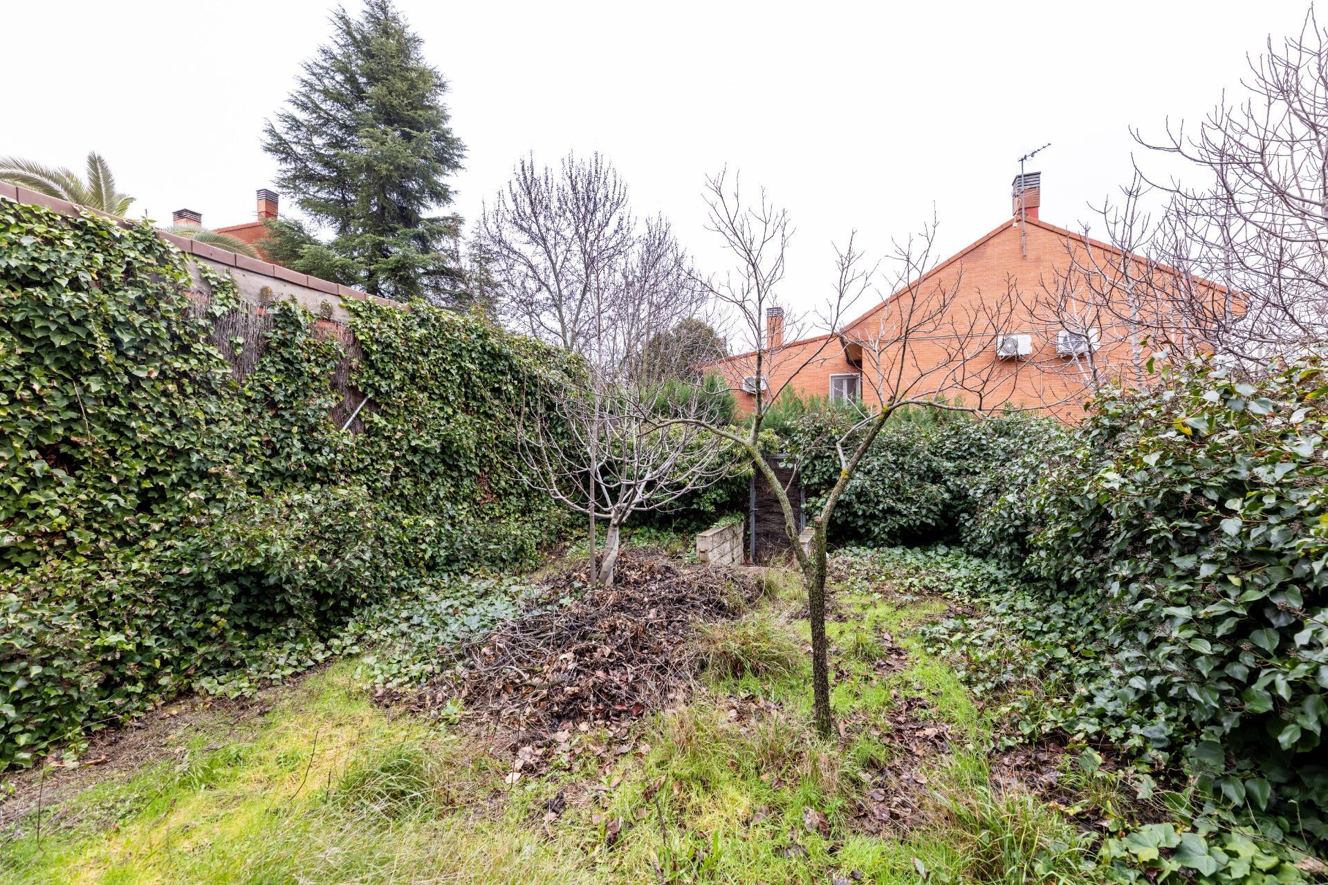 Casas o chalets-Venta-Rivas-Vaciamadrid-2110072-Foto-32