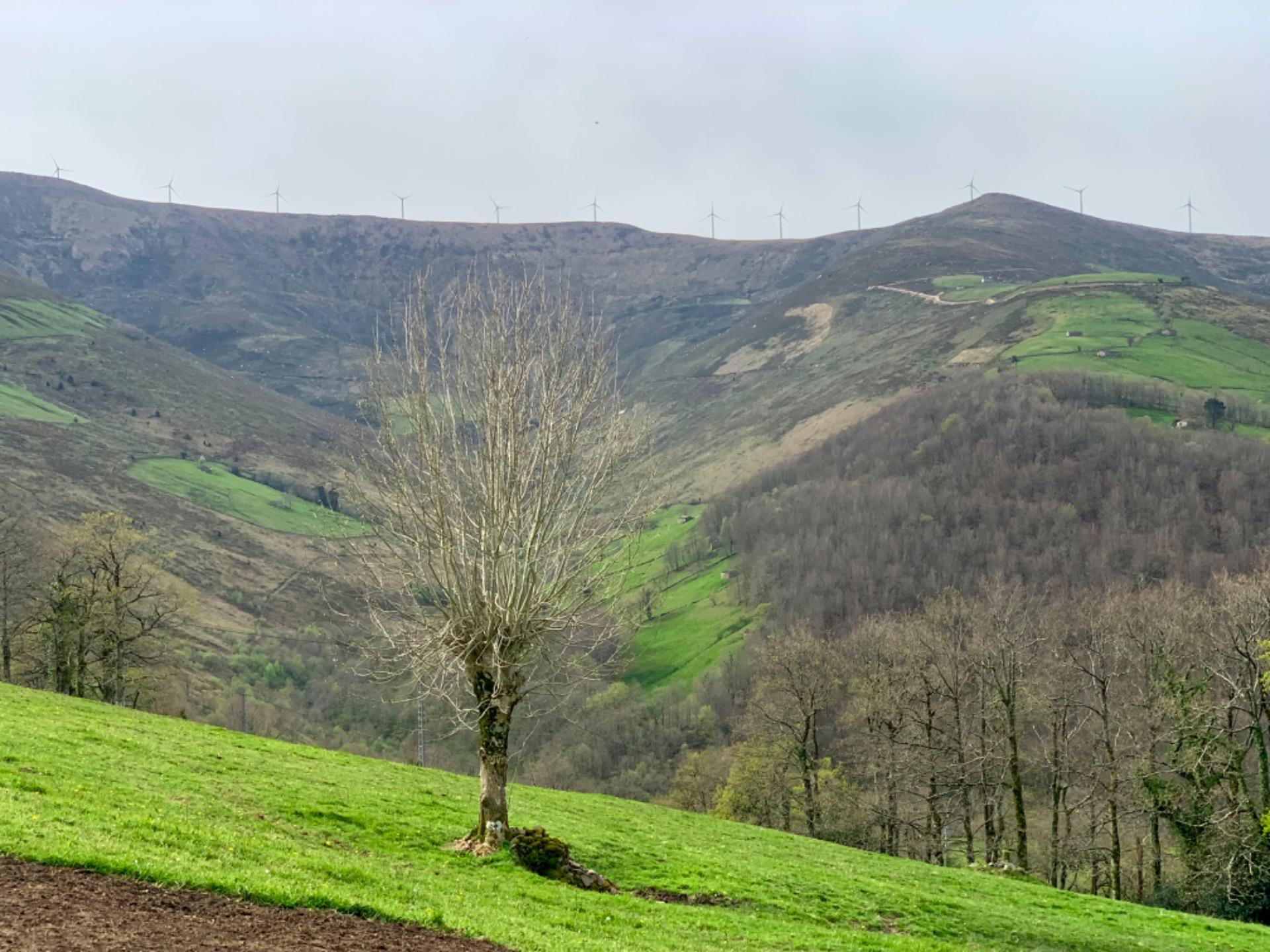 Cabaña San Pedro del Romeral