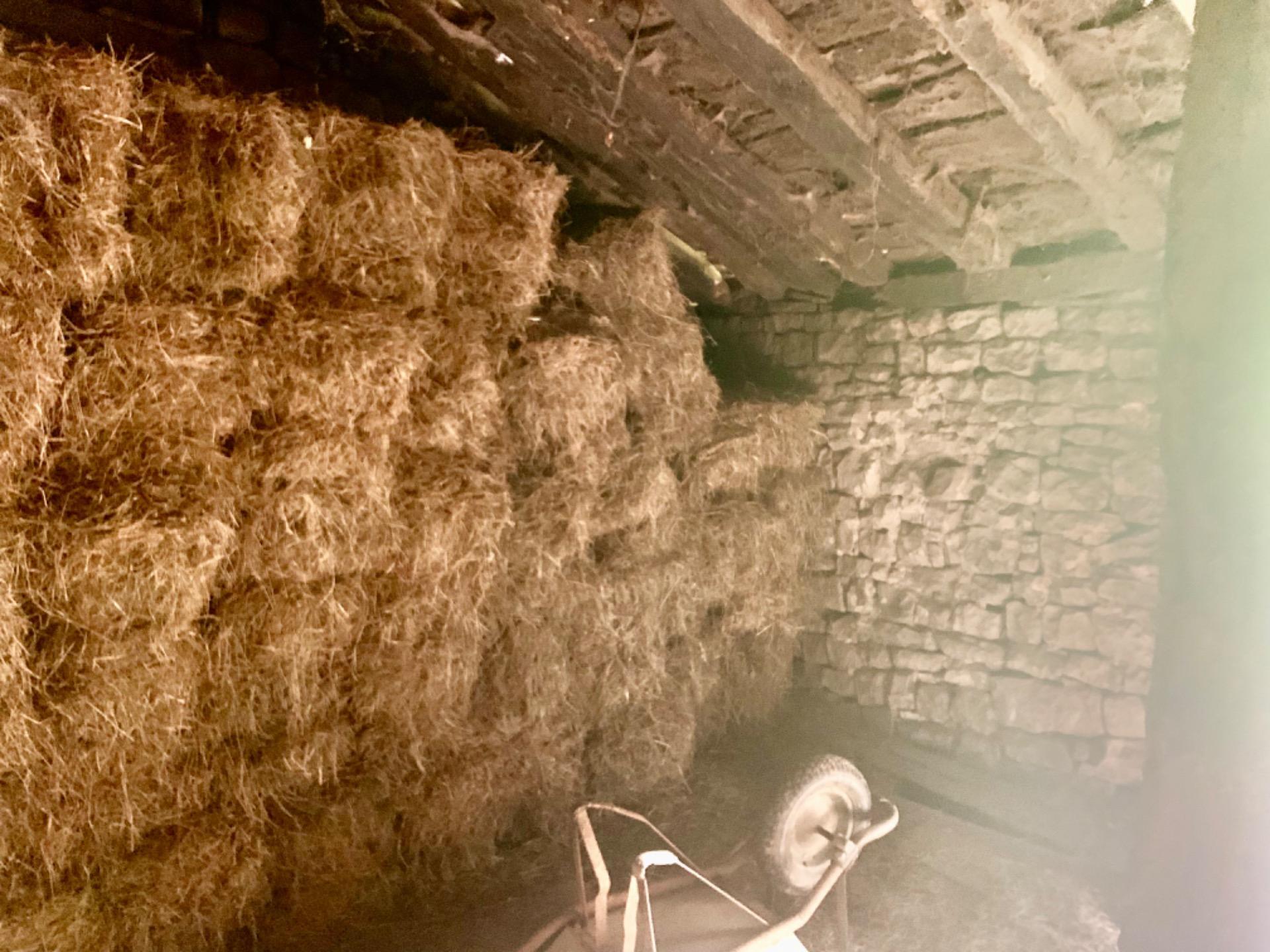 Cabaña San Pedro del Romeral