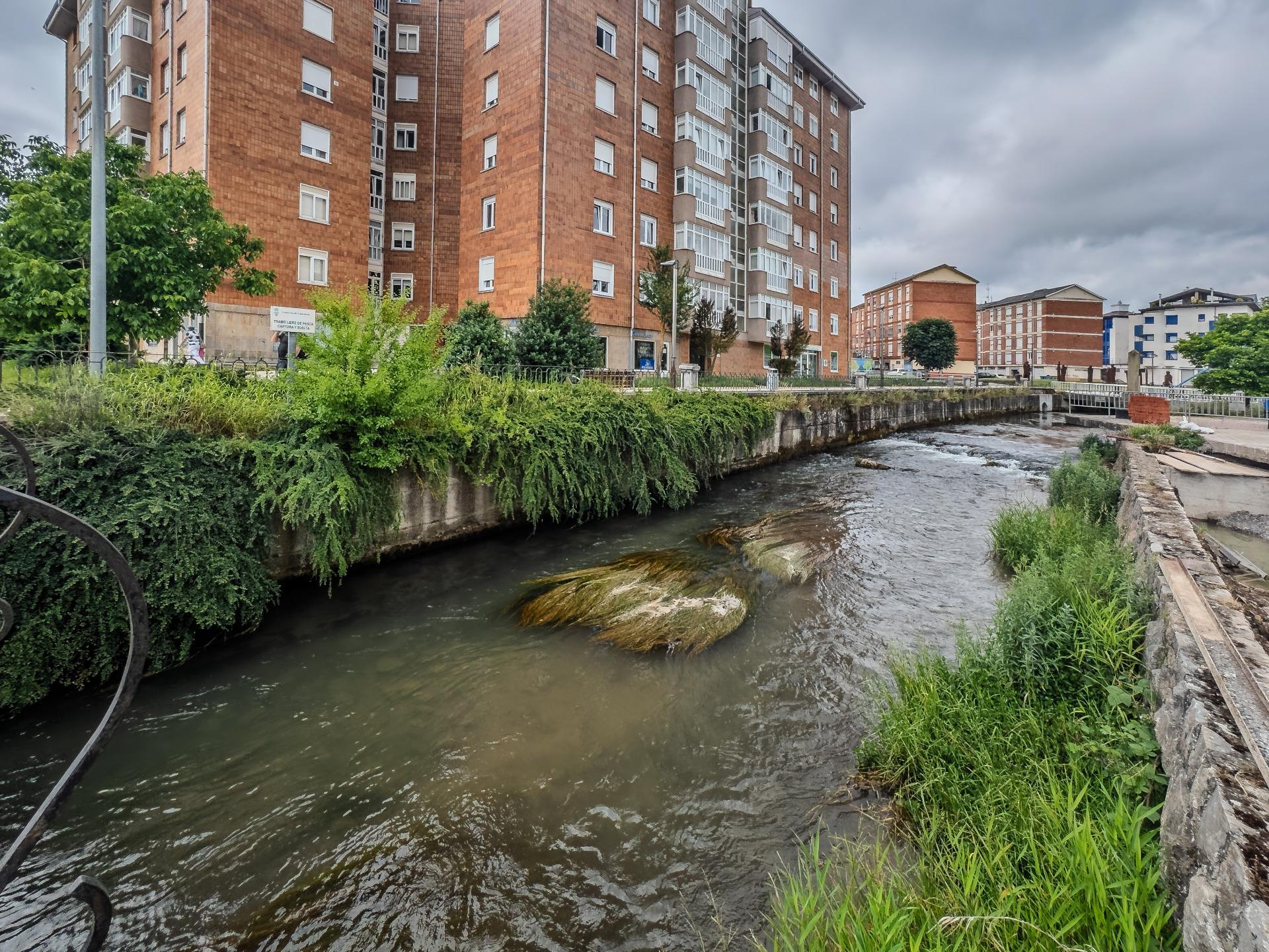 LOCAL EN CENTRO DE REINOSA (PESCADERIA)