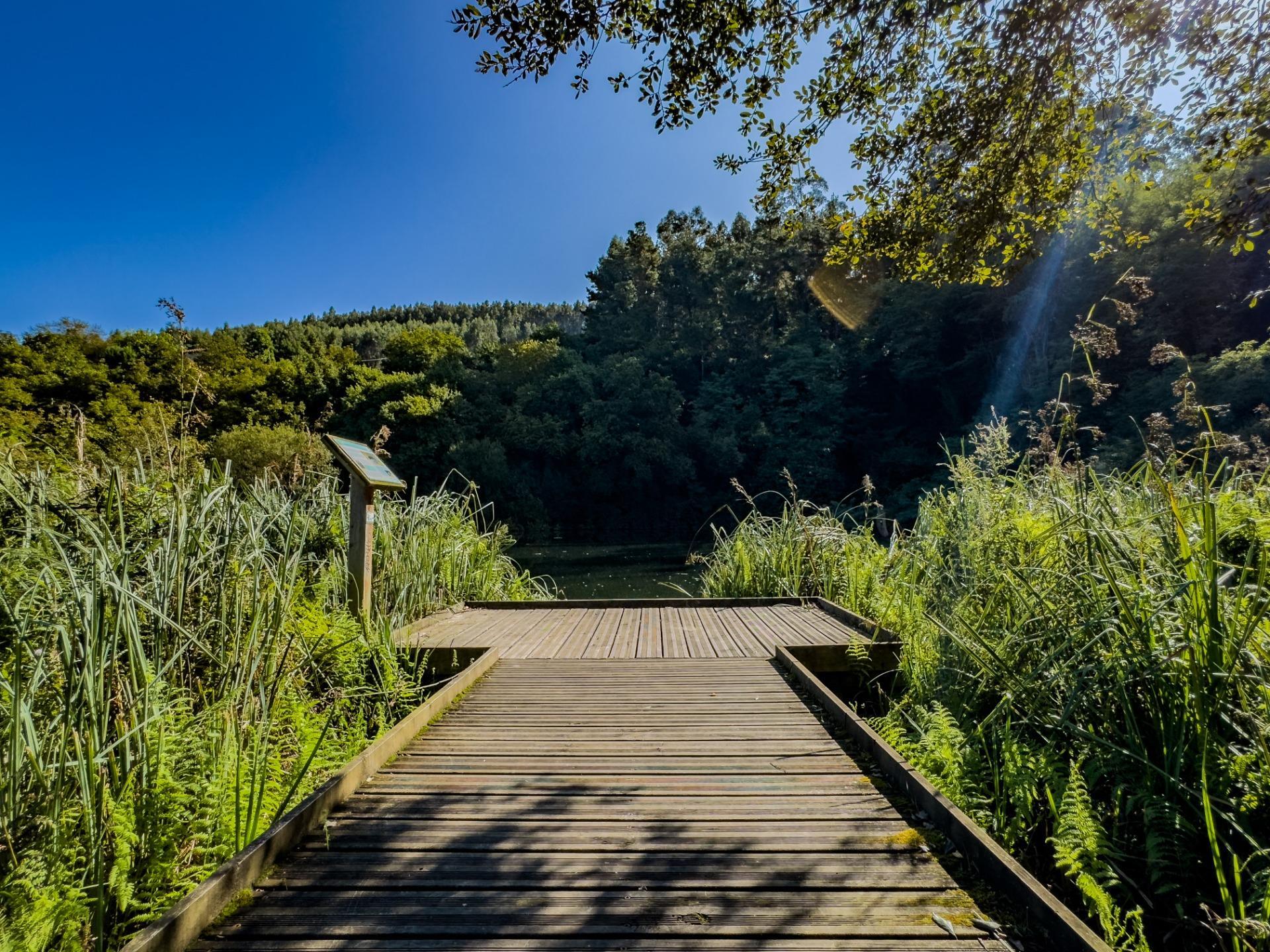 Casa rural de piedra con jardín y vistas abiertas, perfecta para vivir o invertir