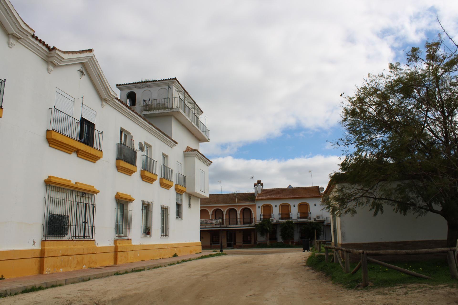 Pisos-Venta-Almonte-2111911-Foto-35