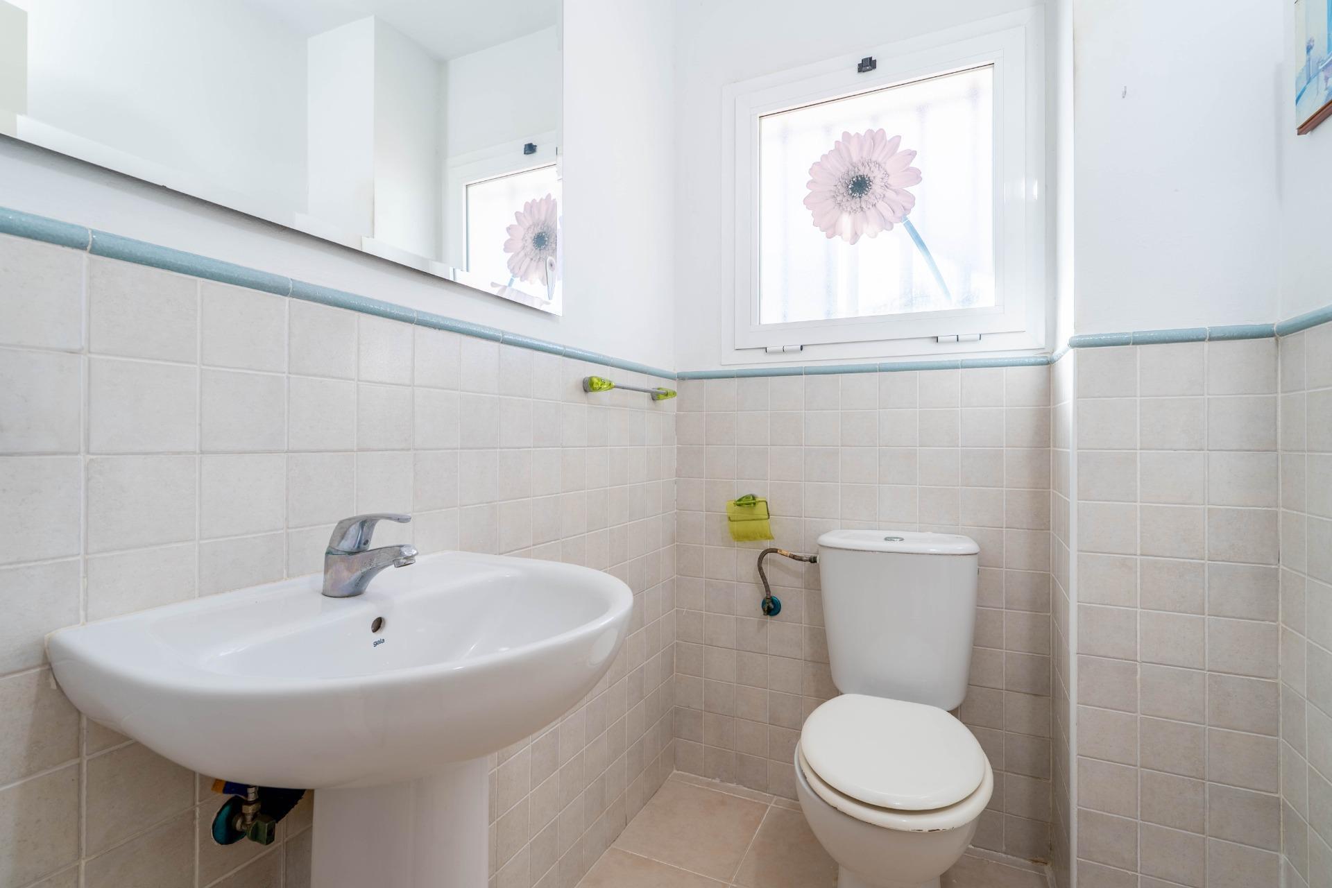 Oportunidad pareado en Avenida Torrejón