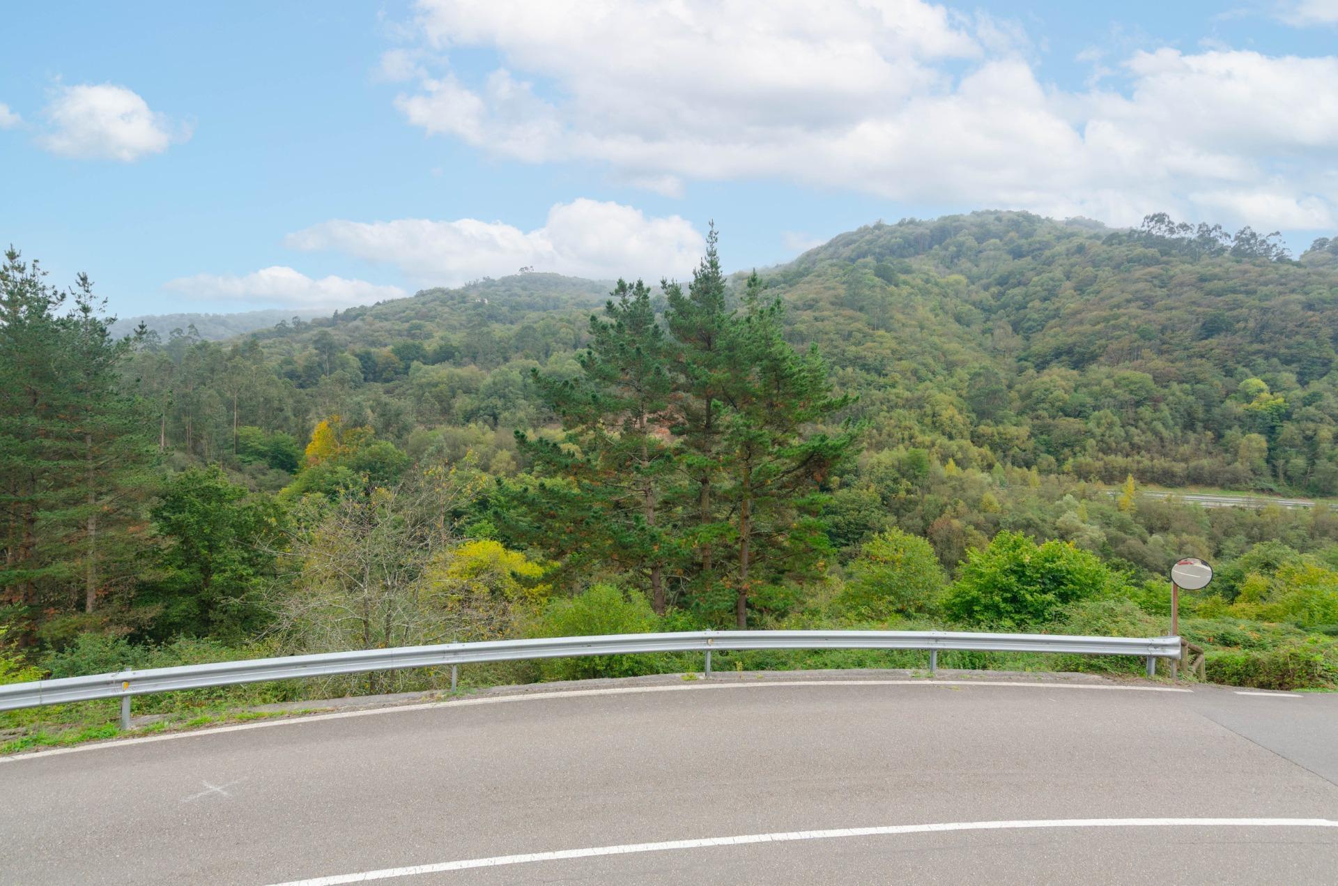 Pisos-Venta-Mieres-1888613-Foto-34