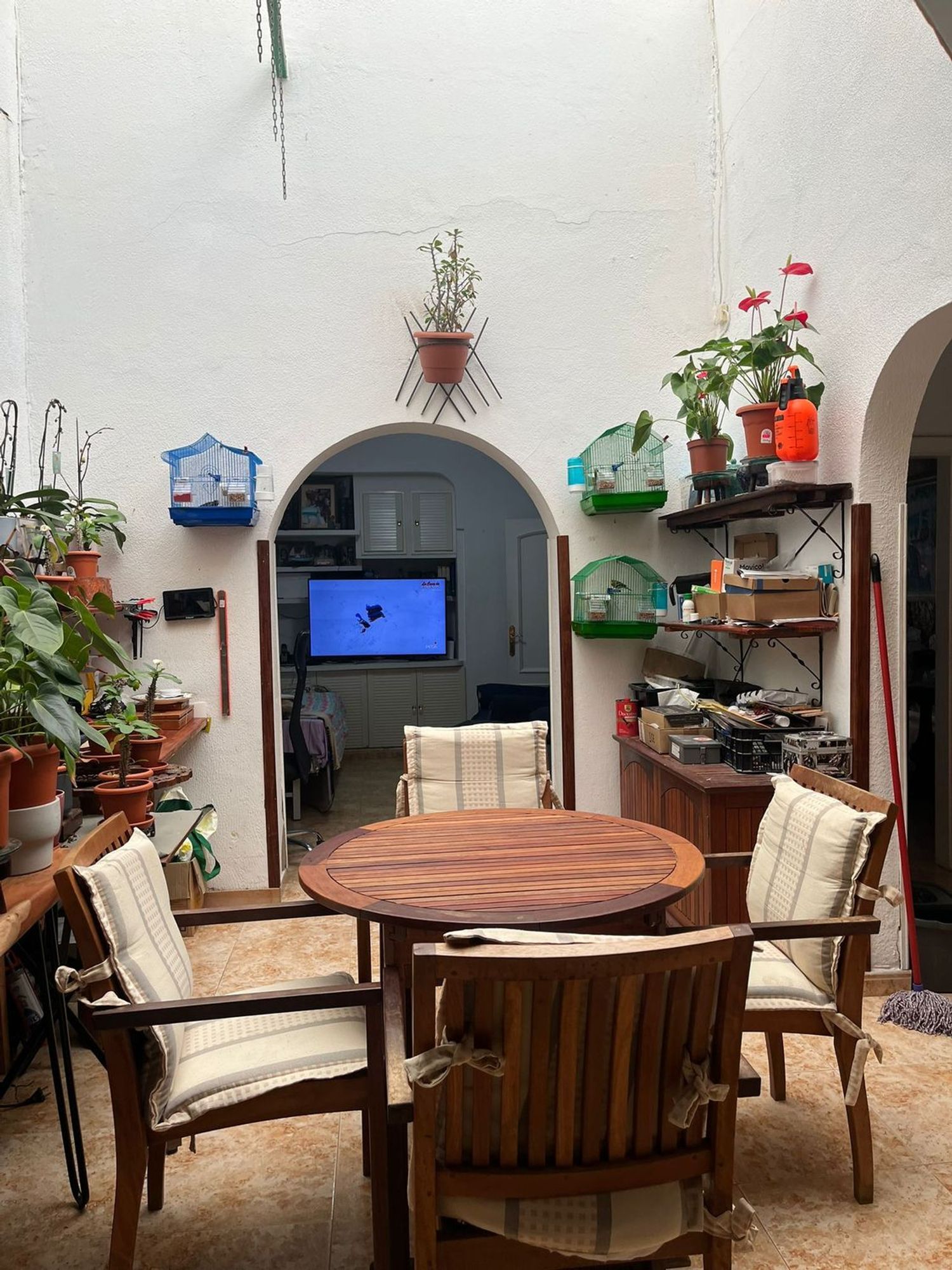 Casas o chalets-Venta-Las Palmas de Gran Canaria-2112965-Foto-13