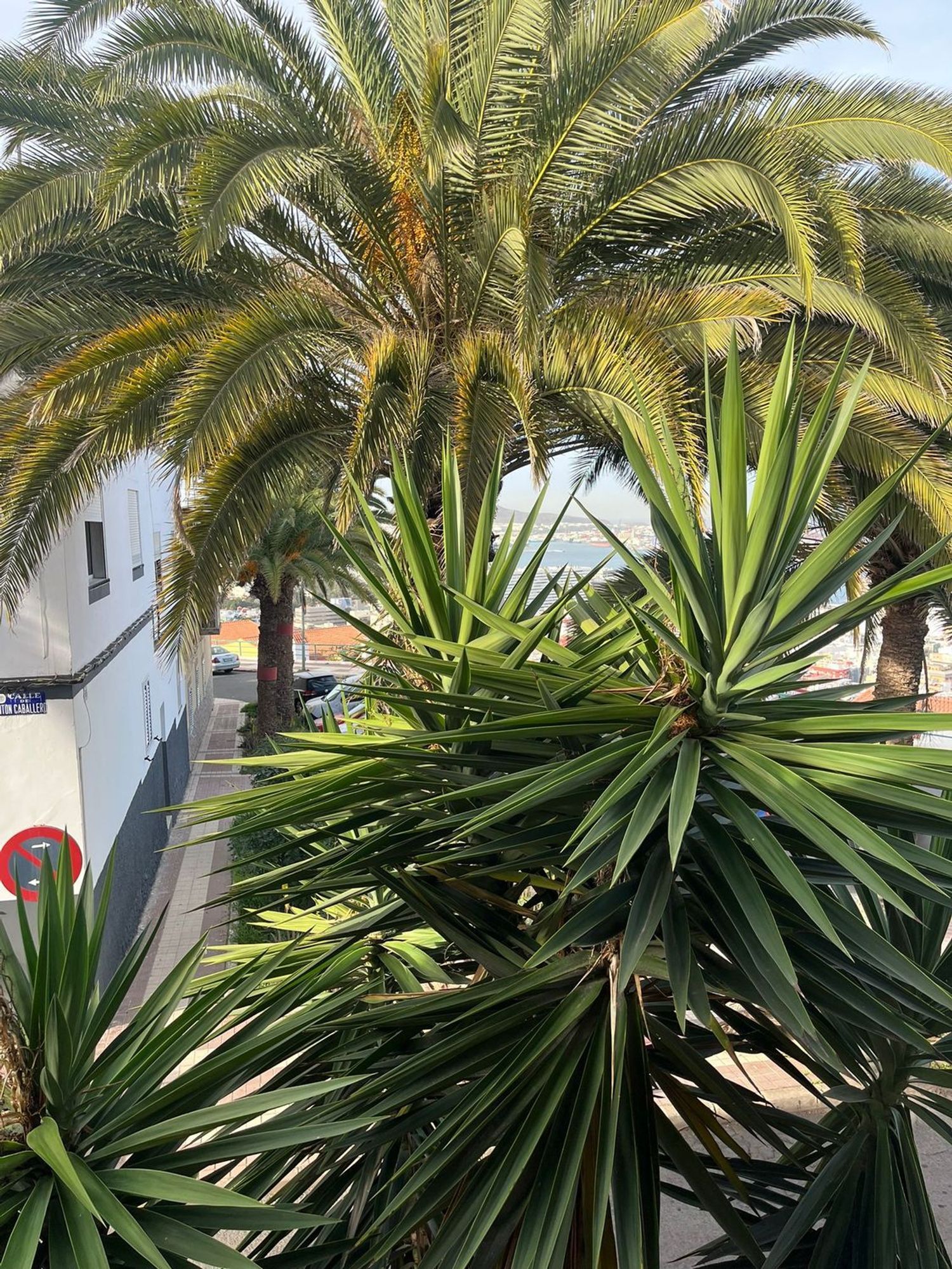 Casas o chalets-Venta-Las Palmas de Gran Canaria-2112965-Foto-31