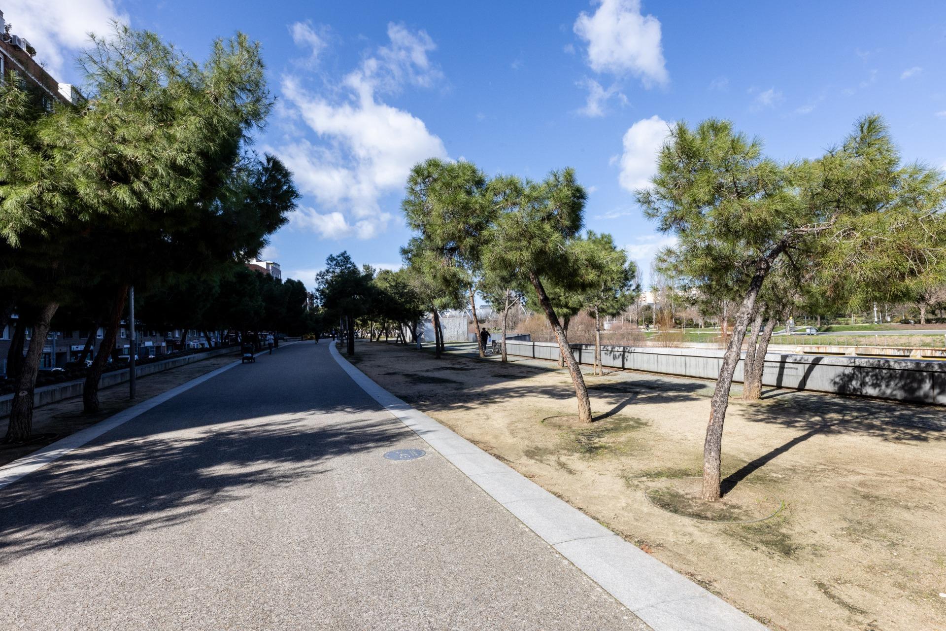 Pisos-Venta-Madrid-2113049-Foto-22