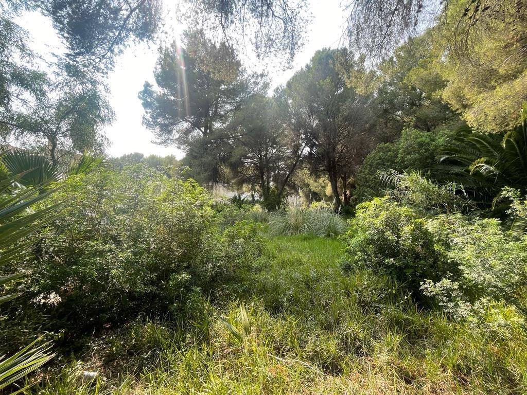 Plot in Alcúdia