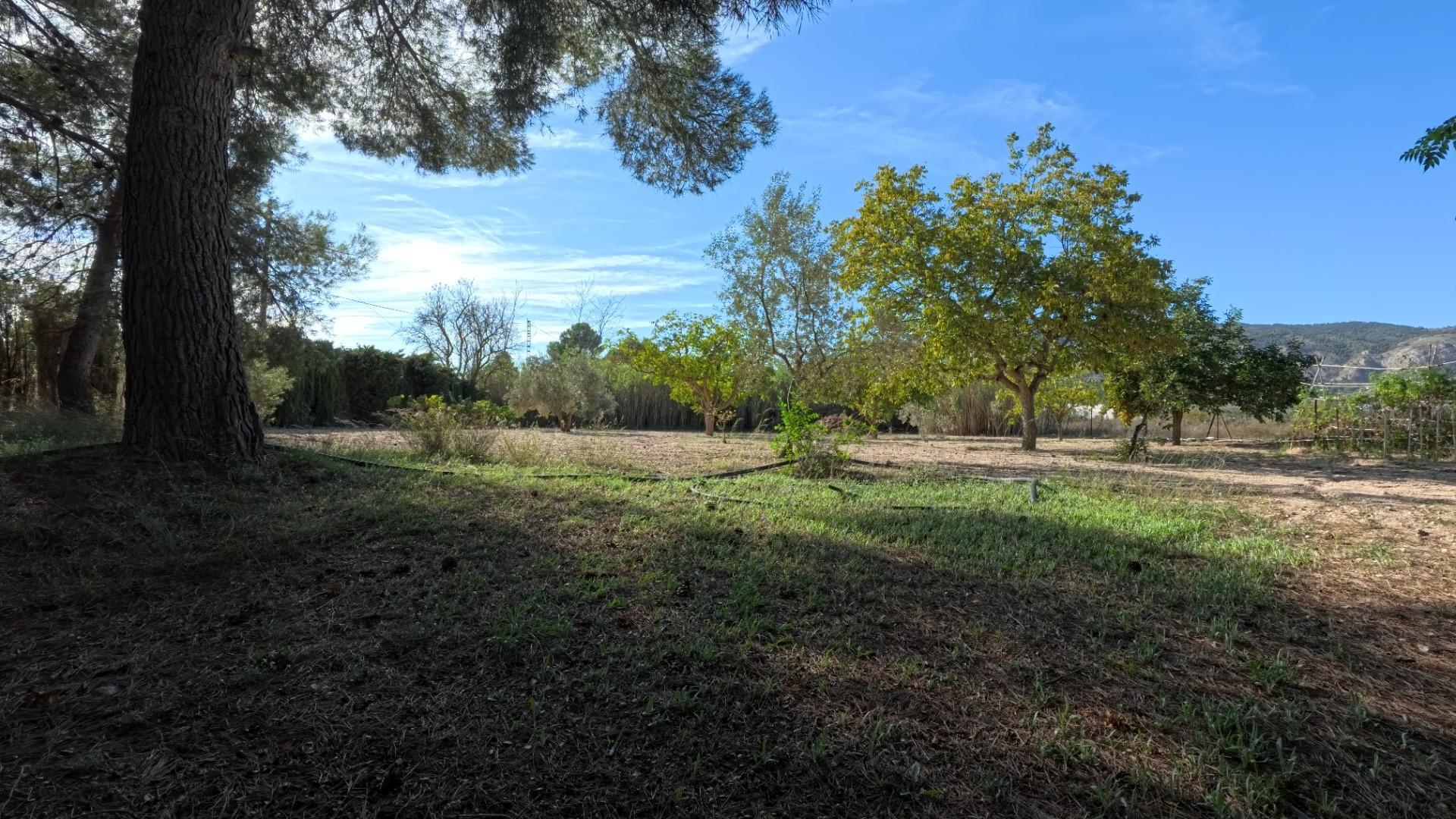 Casas o chalets-Venta-Castalla-1425753-Foto-13