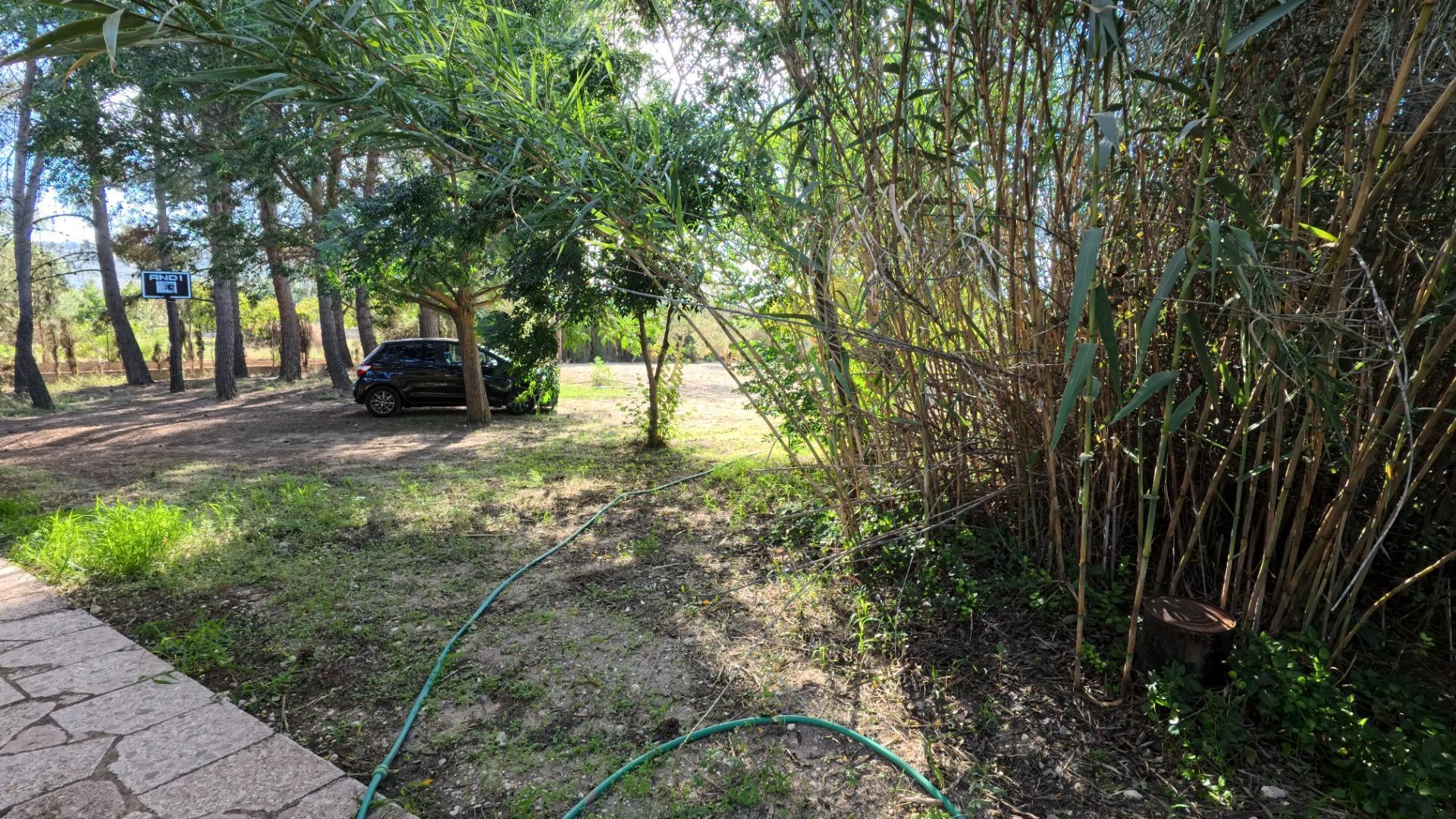 Casas o chalets-Venta-Castalla-1425753-Foto-12