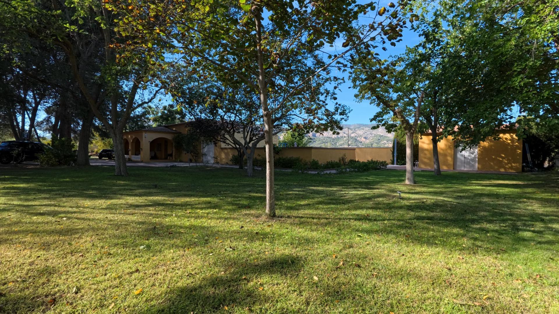 Casas o chalets-Venta-Castalla-1425753-Foto-39